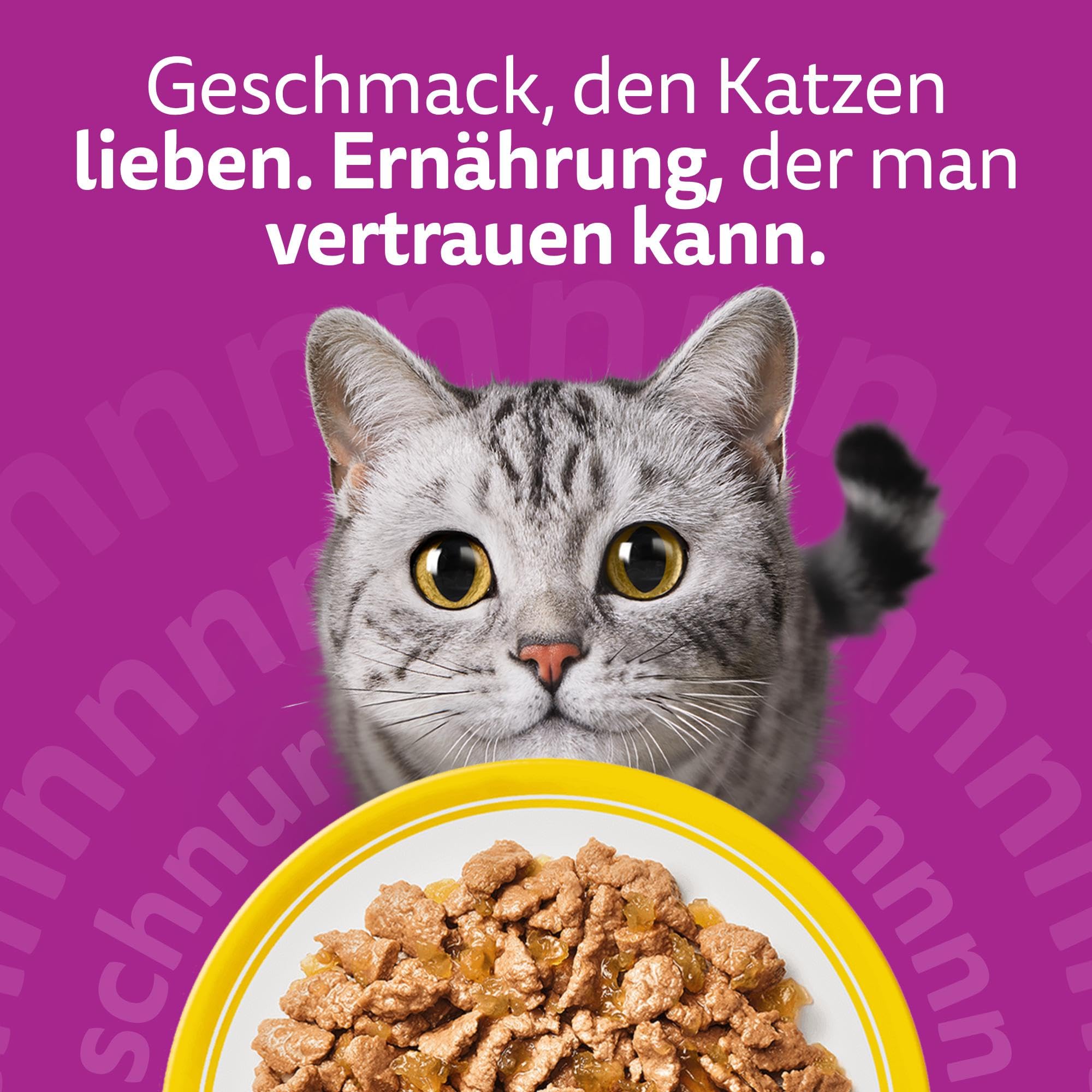 WHISKAS Nassfutter in Gelee für Katzen 84 x 85g Geflügel Auswahl