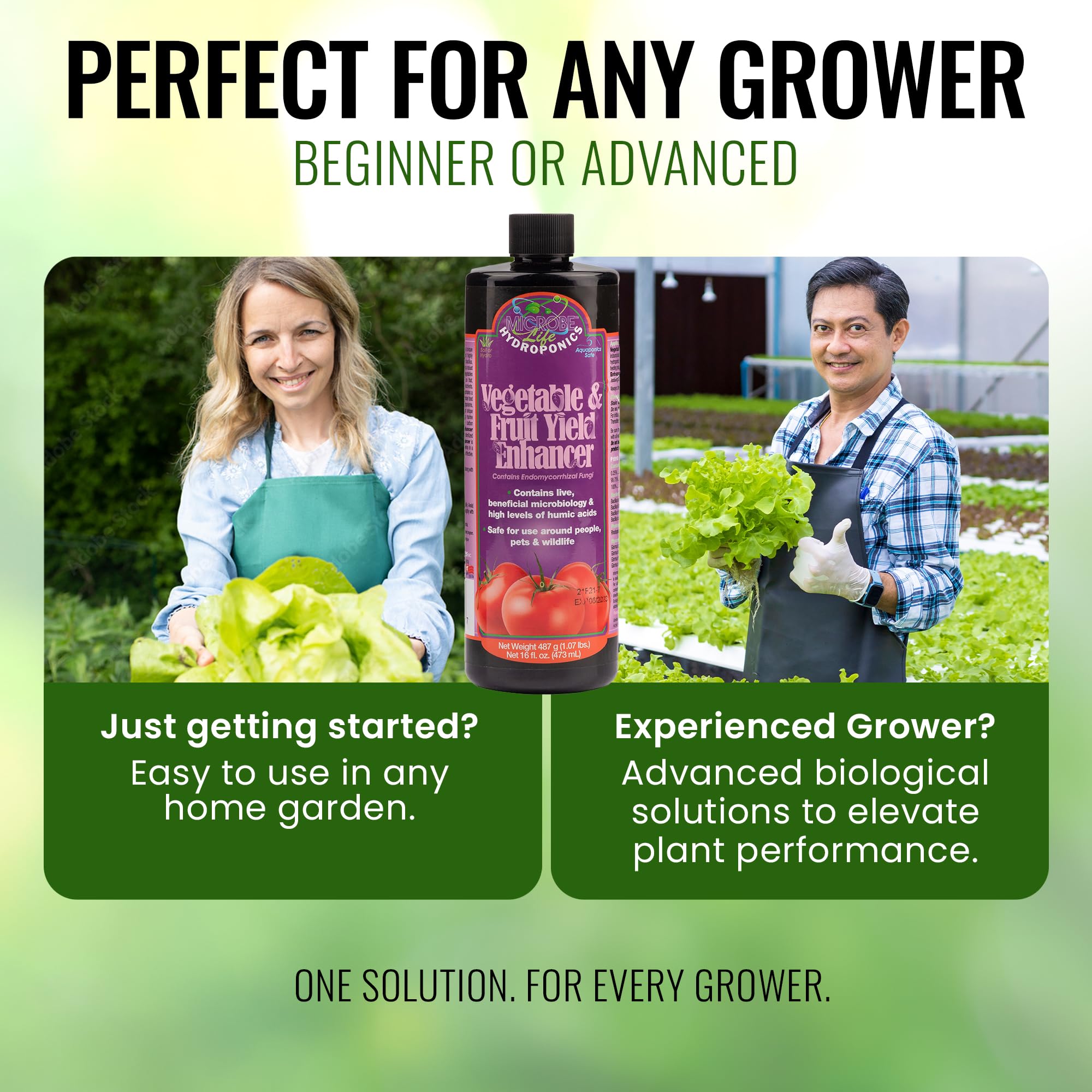 Amazon.com : Microbe Life Hydroponics Fruit and Vegetable Plant