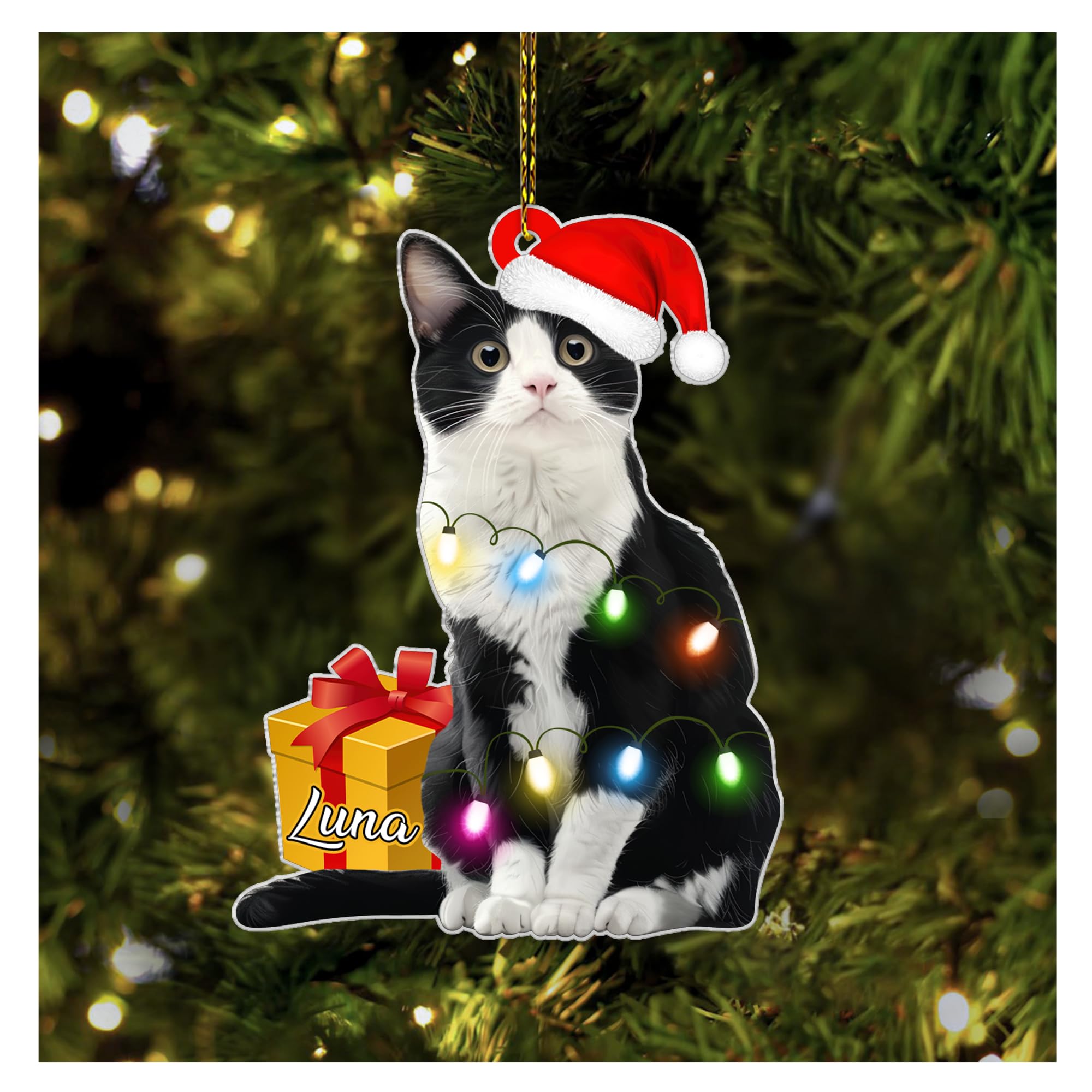 Amazon.com: Hyturtle Personalized Tuxedo Cat Christmas Ornament - Cat ...
