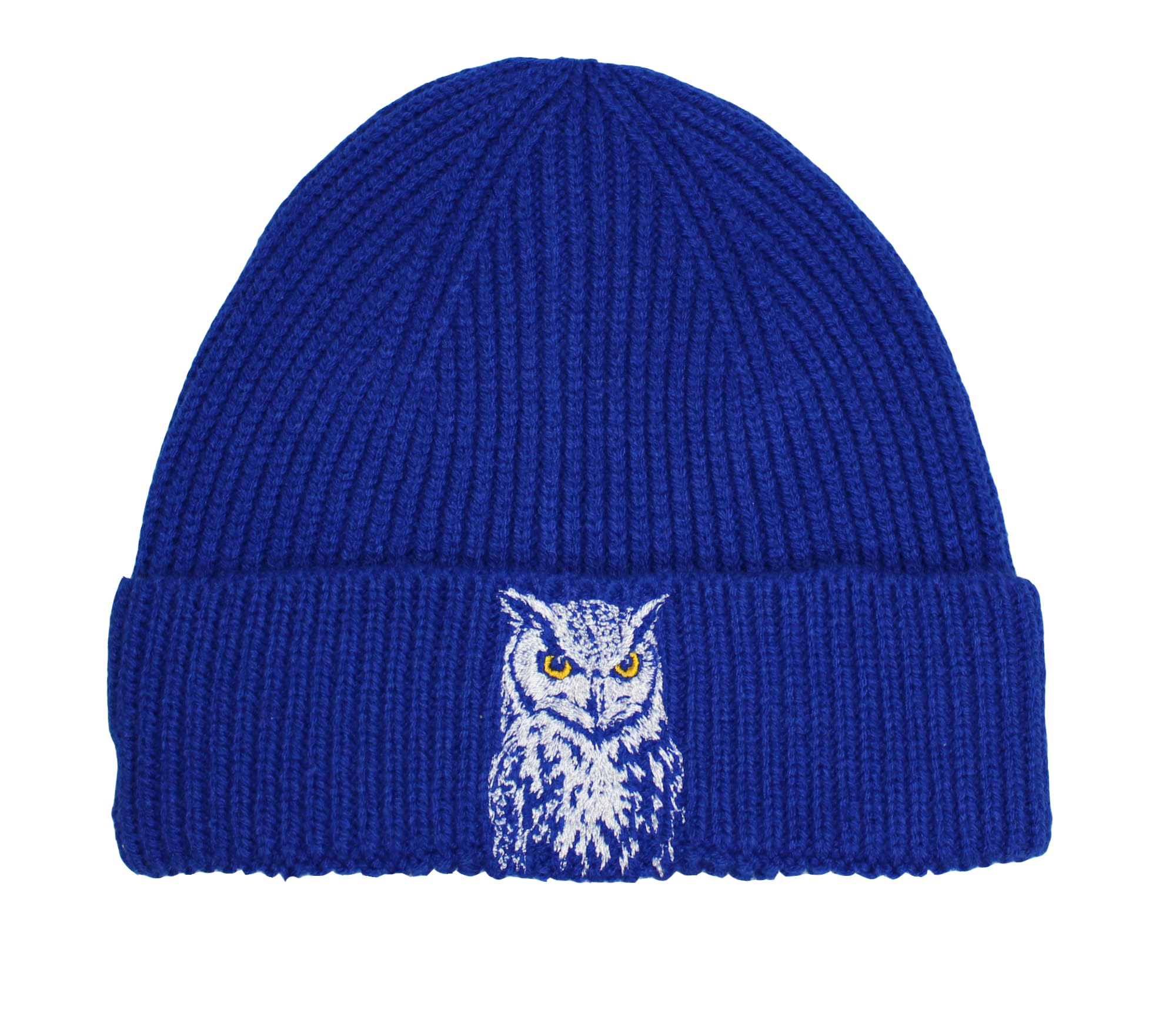 TeddyT's Boy's Owl Embroidered Royal Blue Thermal Beanie Hat (4-8 Years)