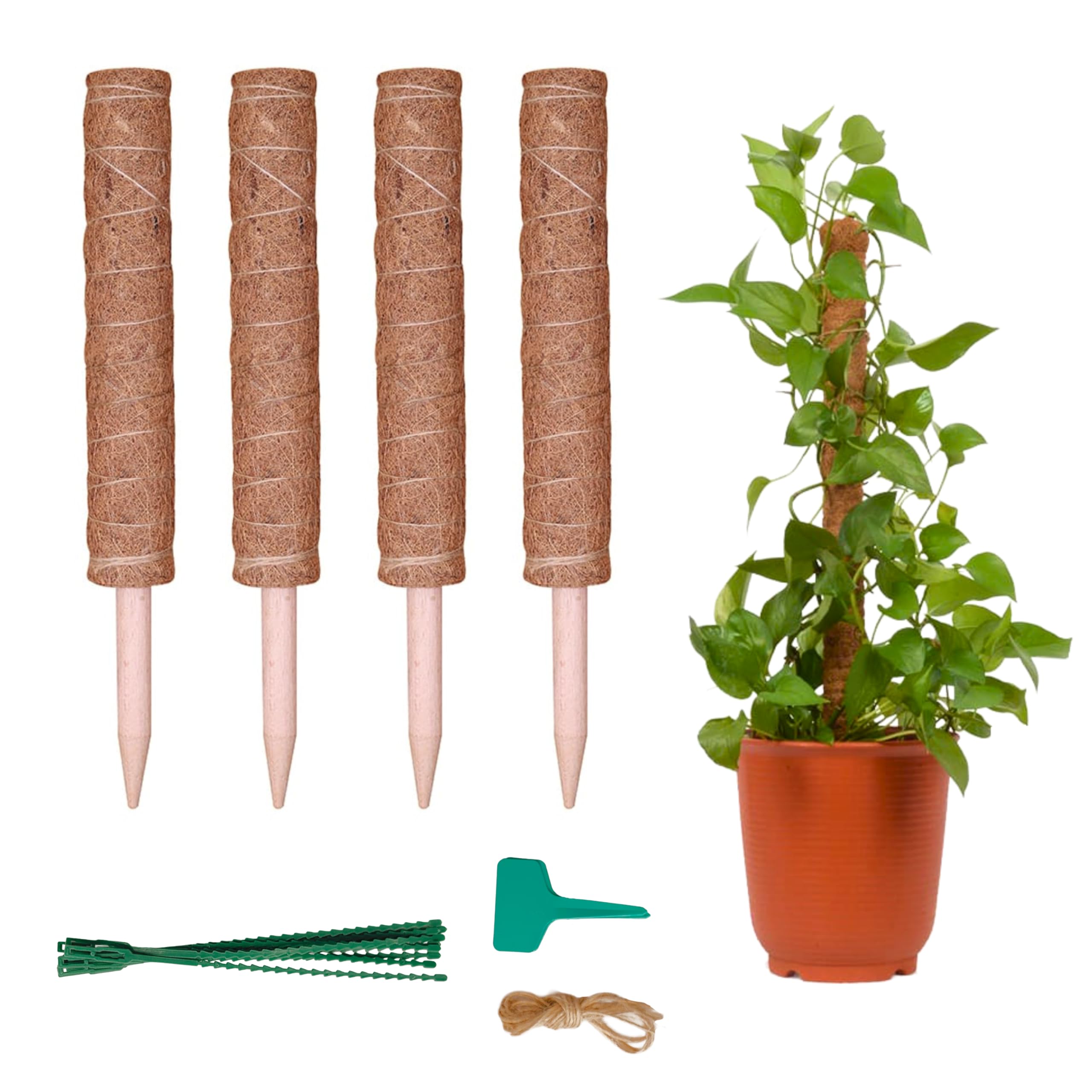 Amazon.com : Maxona Coir Moss Pole – 4 Pack 15.7inch Coir Totem