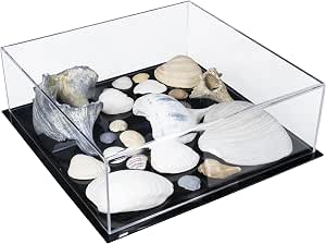 Better Display Cases Medium Rectangle Acrylic Display Box – Clear With White Base, 15 X 8 X 9 Inches