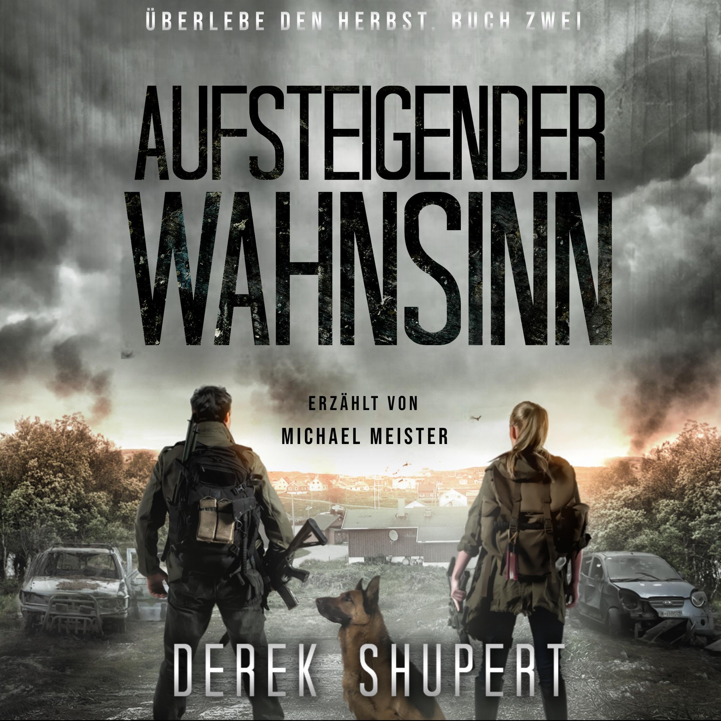 Cover art for Aufsteigender Wahnsinn