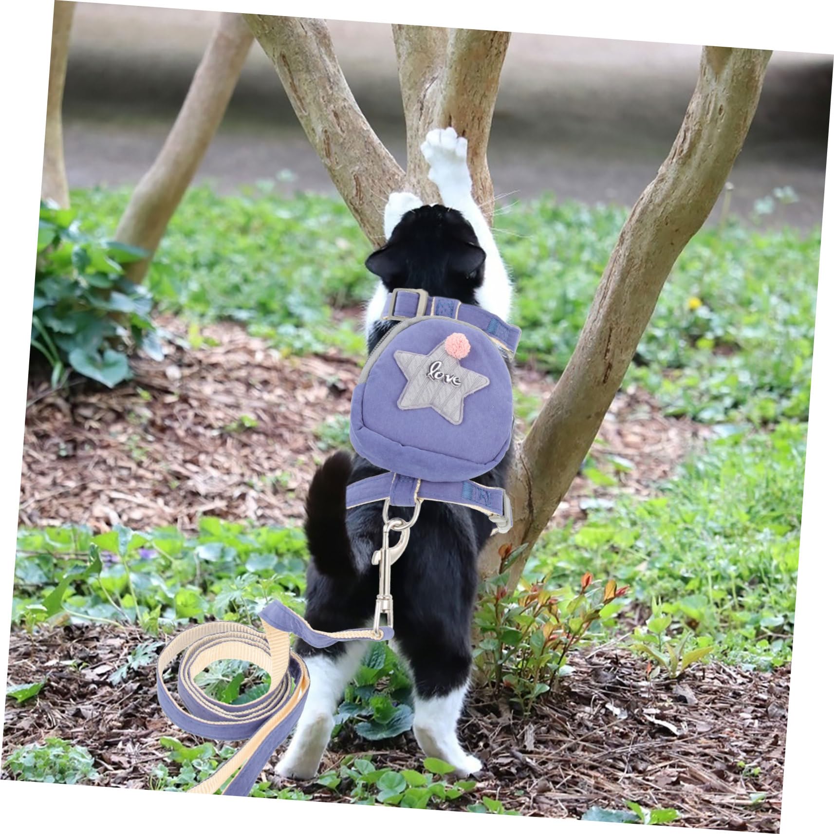 Hemoton Dog Backpack Leash Cat Vest Strap Cat Harness Rope Breathable Kitten Harness Traction Leash