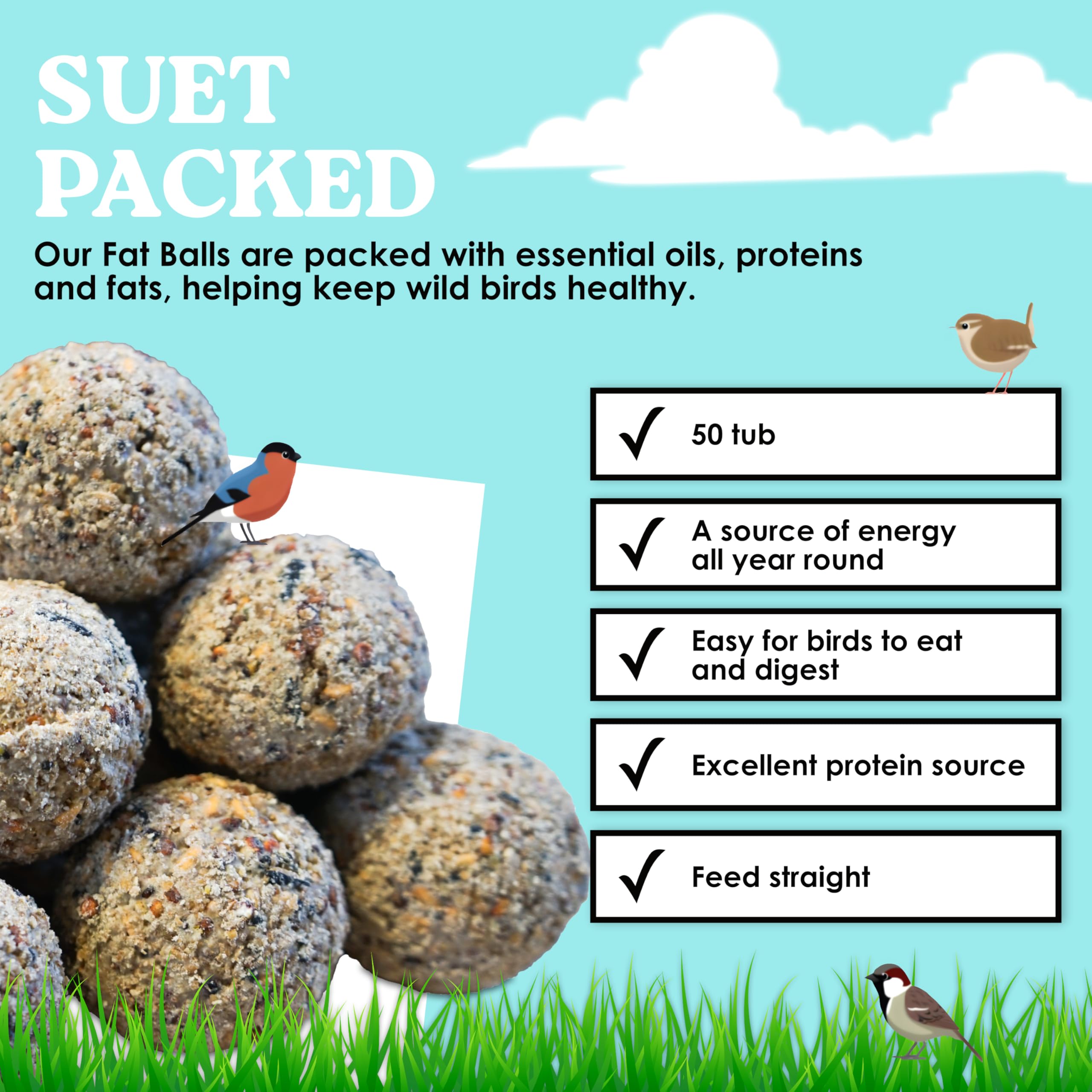 Wolds Wildlife - Premium Suet Fat Balls, 50 x 80g Tub - High-Energy, All-Season Fat Balls for Wild Birds - Enriched with Human-Grade Beef Tallow - High Energy Bird Food with Essential Oils & Protein — view 2