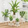 Soporte para plantas de metal blanco para exteriores, juego de 5, elevadores para plantas de patio (WhiteLeaf) 1