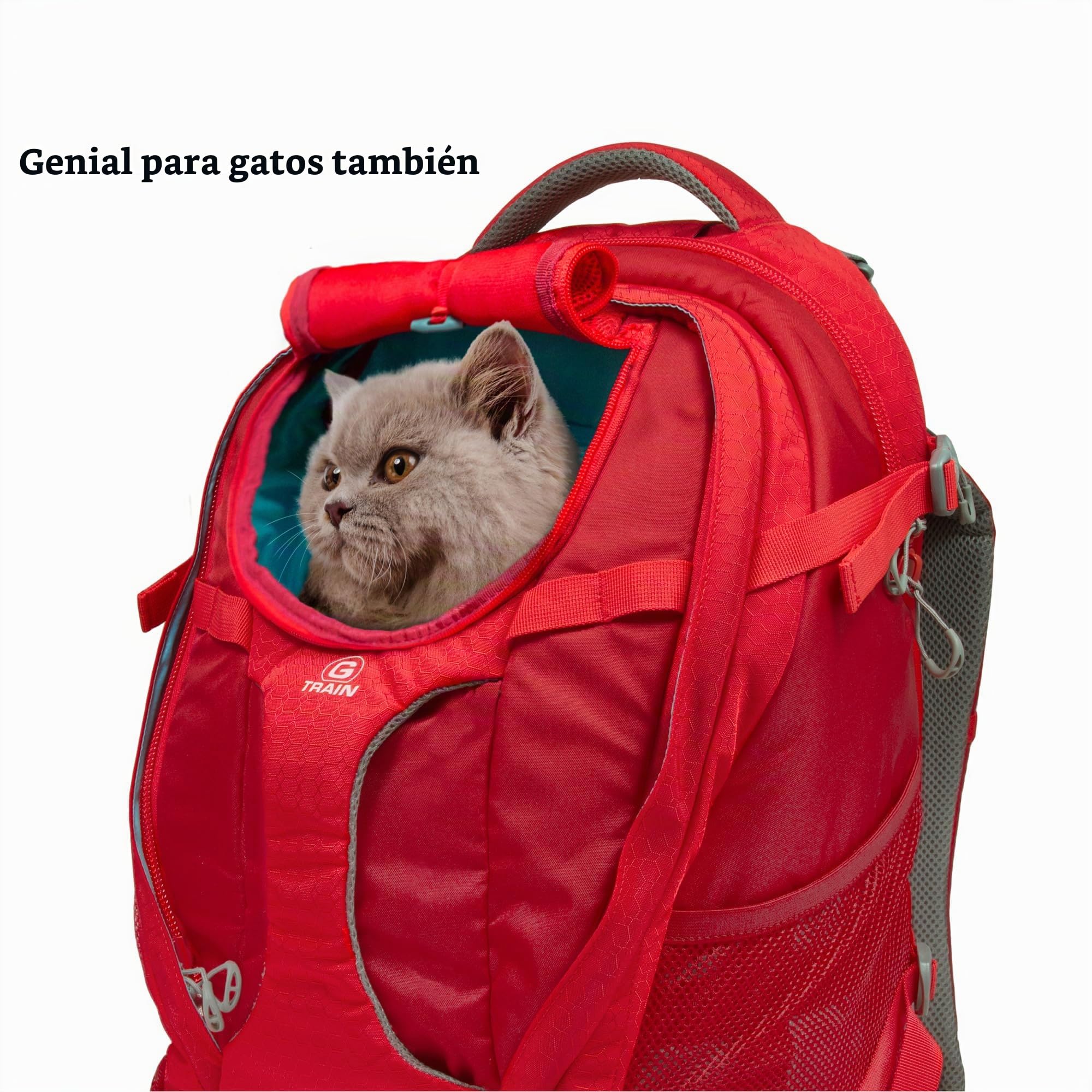 Kurgo G-Train Mochila Transportín, Negro