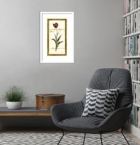 Miniatura 5 de Amanti Art Impresión artística enmarcada para pared, 17 x 25 pulgadas, diseño de tulipán I de Vision Studio, póster enmarcado para decoración de