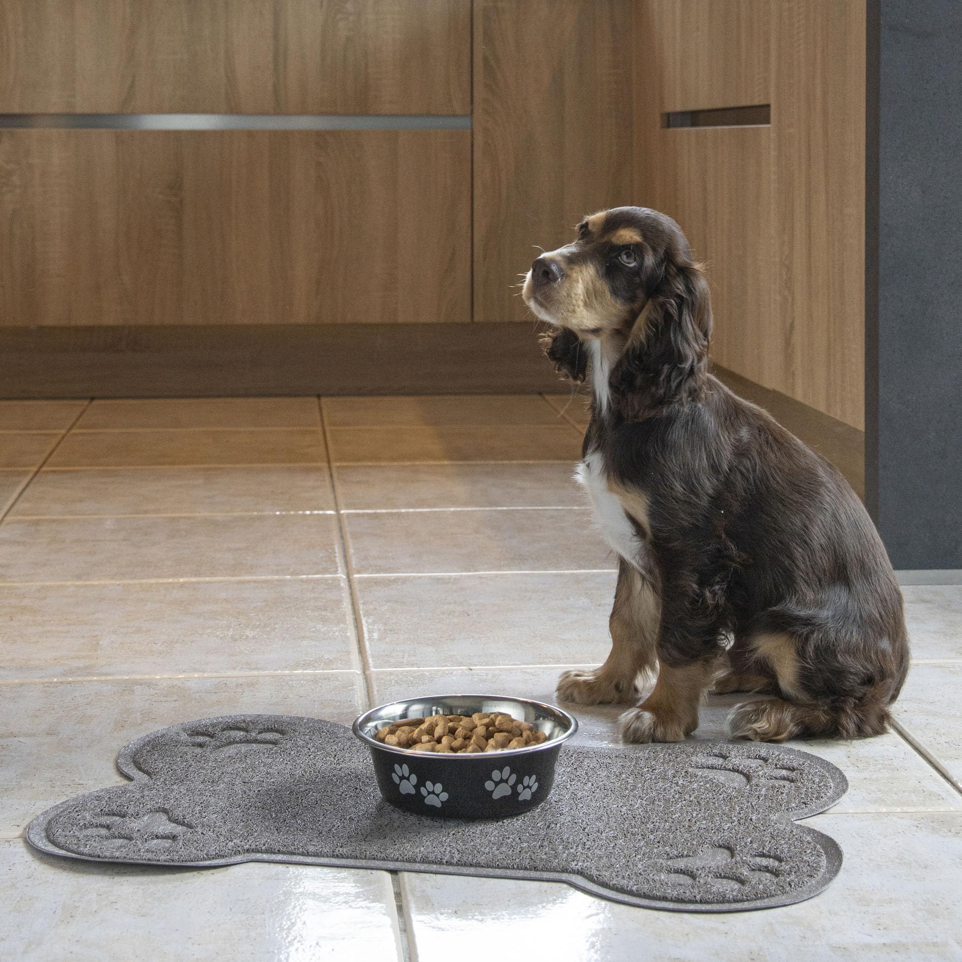 Stainless Steel Bowl with Paw Print Design D17/13cm Glossy Red, 1 Stück (1er Pack) - Image 3