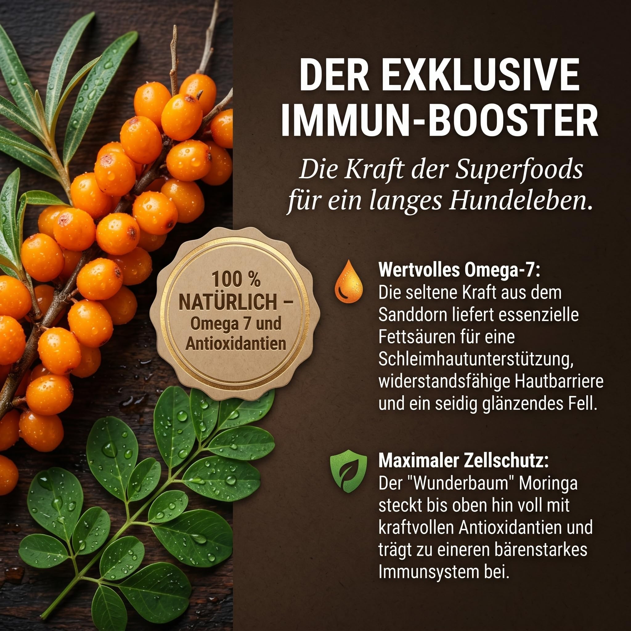 Freilandschaf 4x5kg - kaltgepresstes Trockenfutter - 25% Protein - mit Sanddorn & Moringa – hypoallergen - Ballaststoffreich für eine natürliche Darmunterstützung