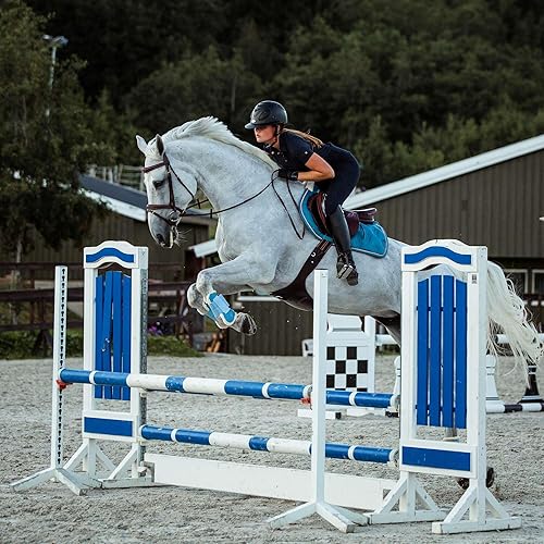 Miniatura 7 de HORZE Sion - Brida acolchada de piel para caballo, con banda nasal y riendas de goma, color negro