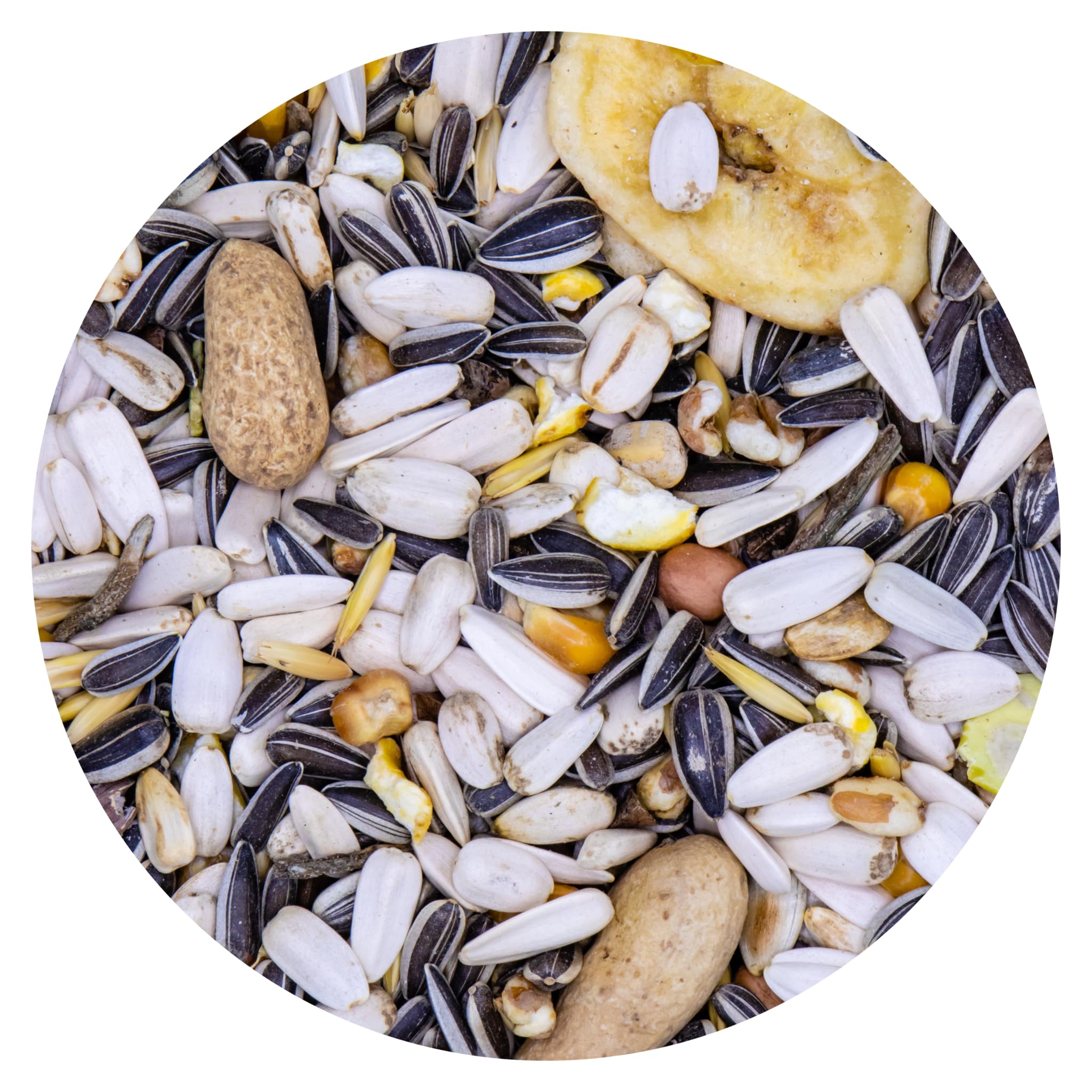 Miscela per Pappagalli GRANDI Formula Ricca di Semi Selezionati, No OGM, 100% Vegetale, Senza Scarti, 12,5kg, Adatta per Tutto L'Anno qualità PREMIUM VAESEN-BELGIO