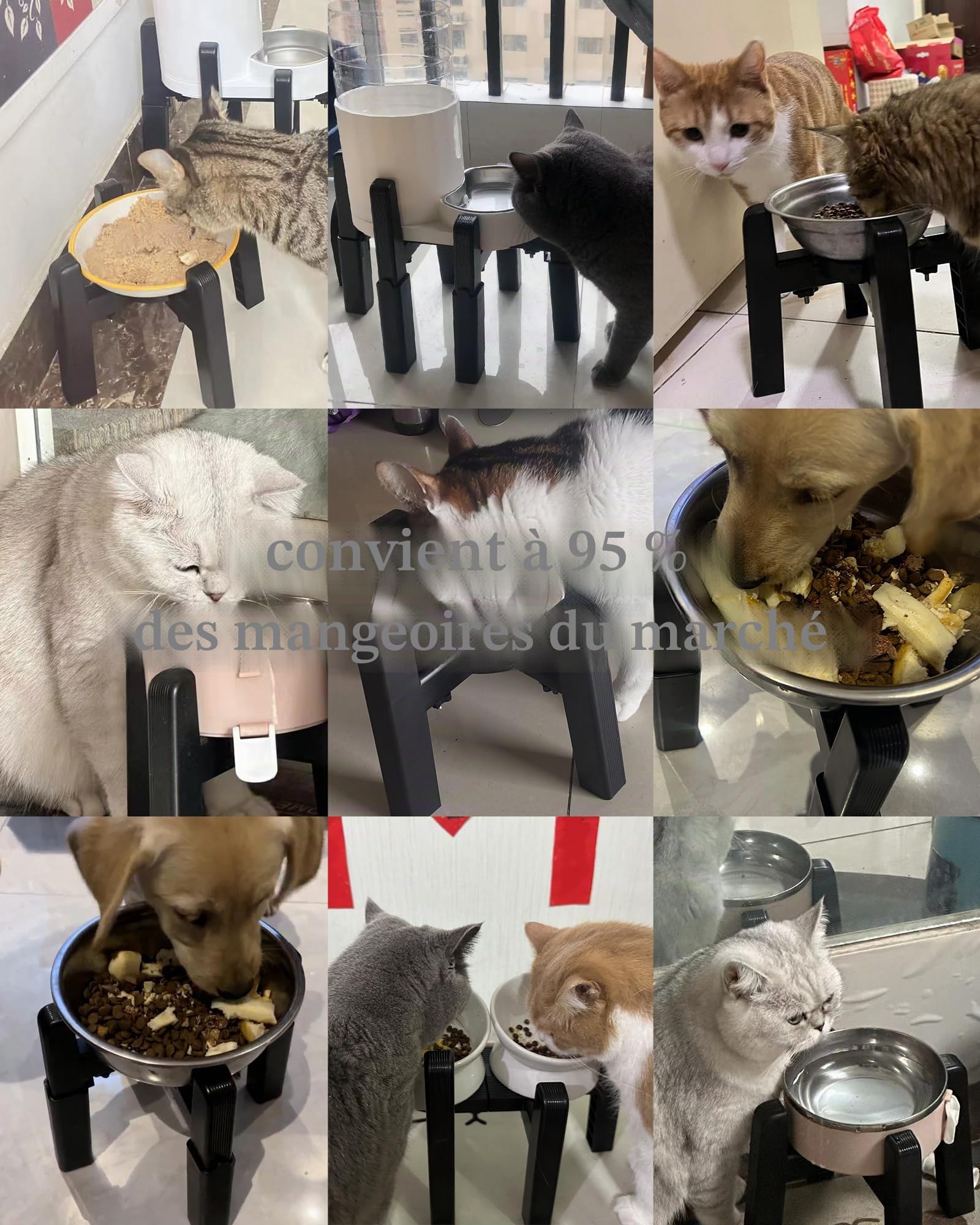 JUNSPOW Support de gamelle pour Chien avec 4 hauteurs Ajustables, gamelle surélevée pour Grands Chiens, Station d'alimentation Stable et antidérapante [Support Uniquement].