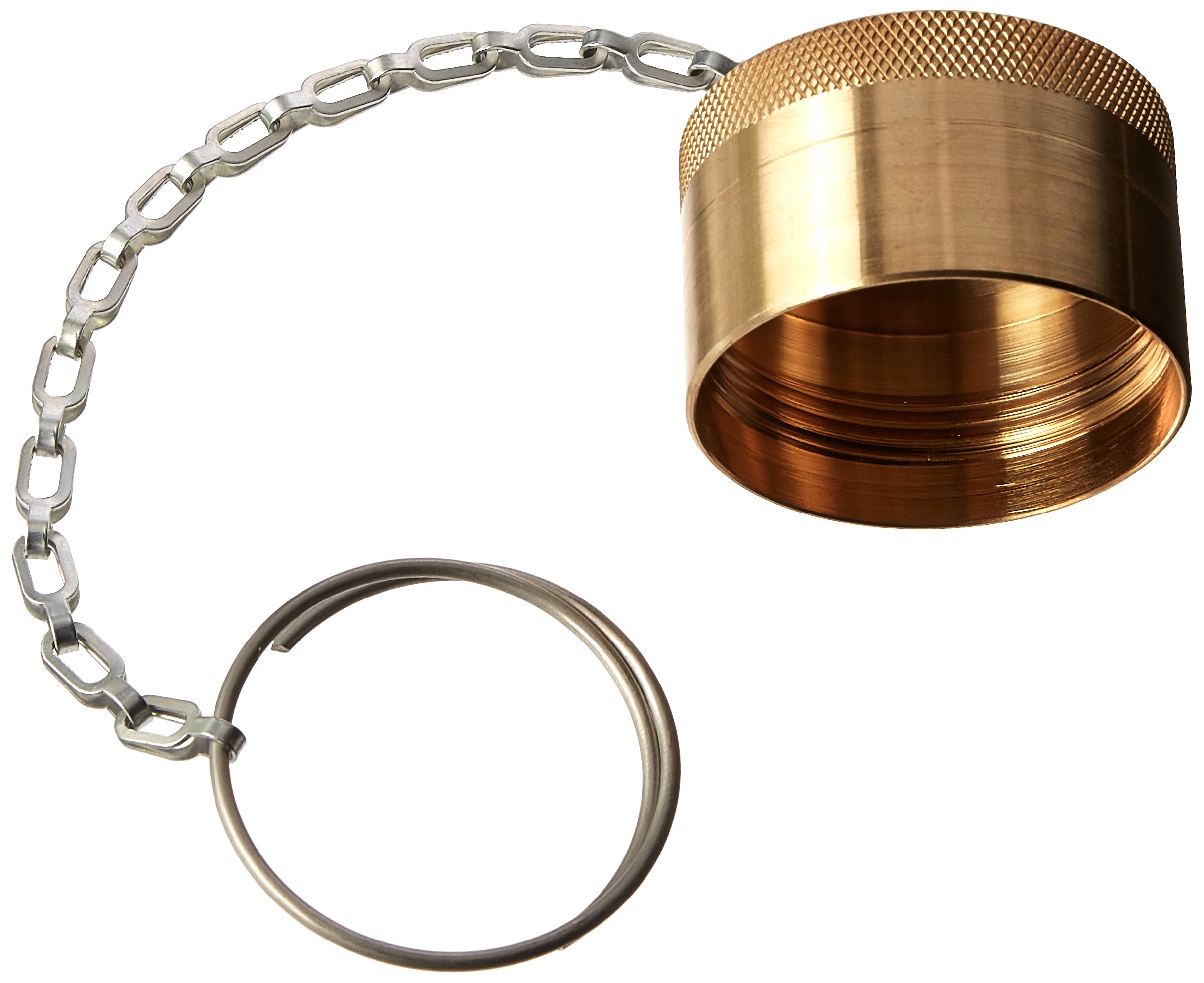 CANALaccessory CAPK-10 両耳 Parker Hannifin 6108-16 Series 6100 Brass Dust Cap for Nipples, 1