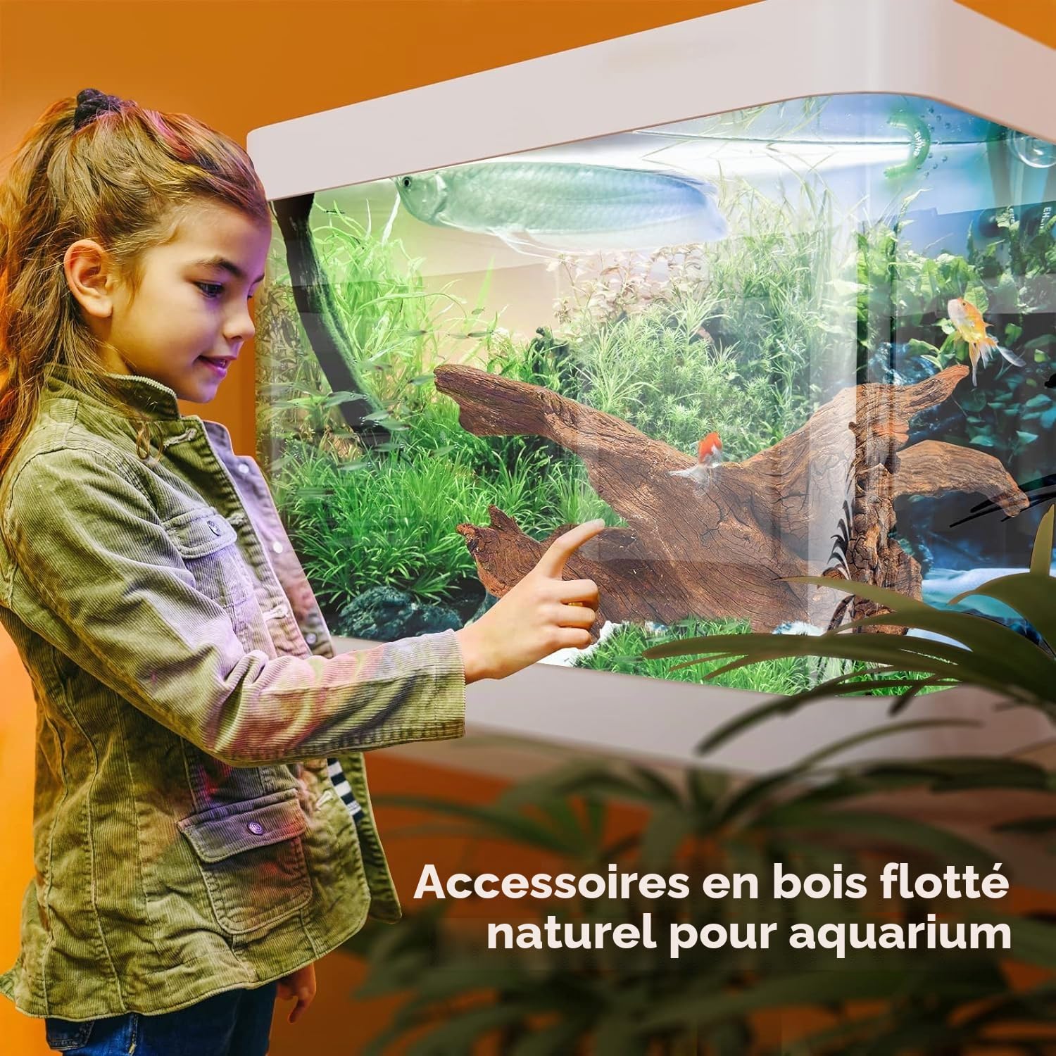 Jorewood Bois flotté Naturel pour Aquariums et terrariums de Reptiles – Décorations sûres pour Aquarium, Branches torsadées Uniques de 17,8 à 27,9 cm, tanin Bas, Facile à couler