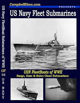 その他 Great Ships: Coast Guard Ships [DVD] Amazon.com: A&E Great Ships, The: The Coast Guard Ships