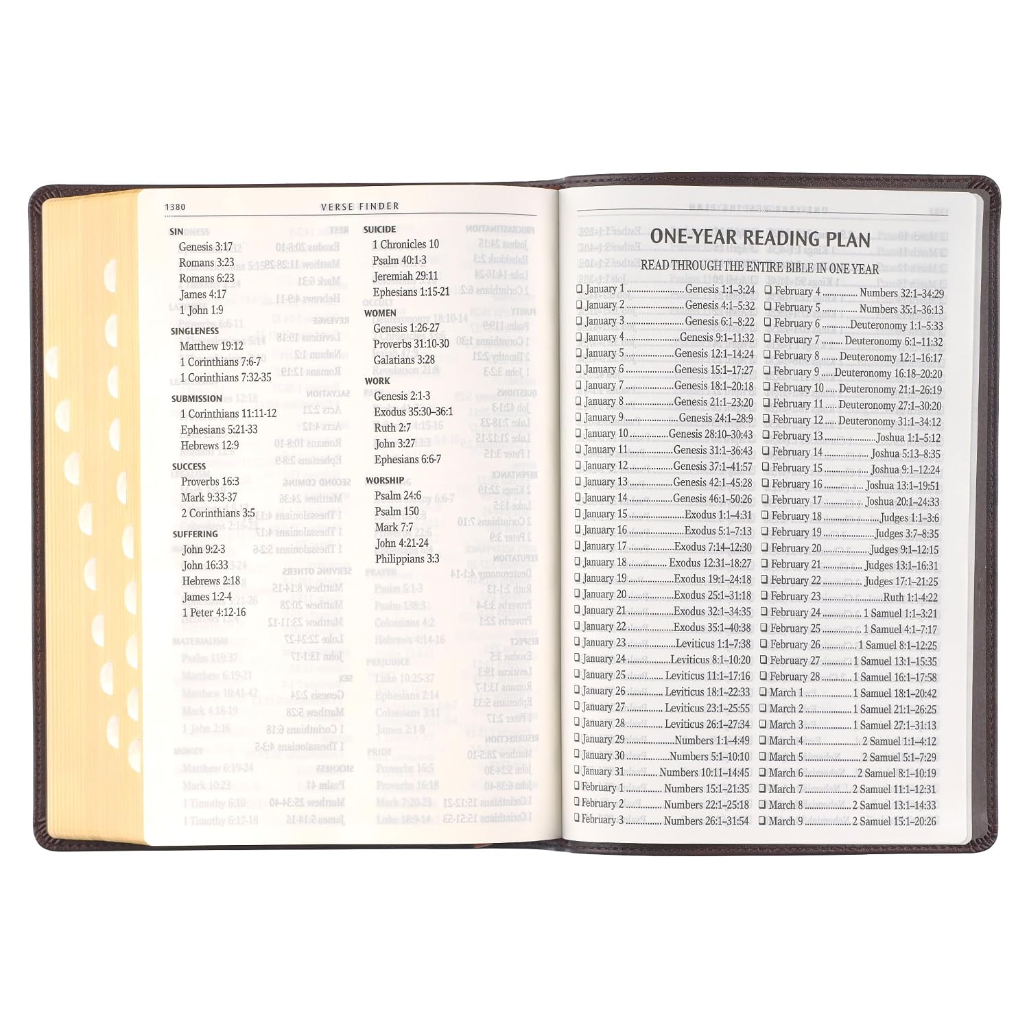 KJV Holy Bible, Giant Print Full-size Faux Leather Red Letter Edition - Thumb Index & Ribbon Marker, King James Version, Espresso Brown (KJV Full Size GP Editions)