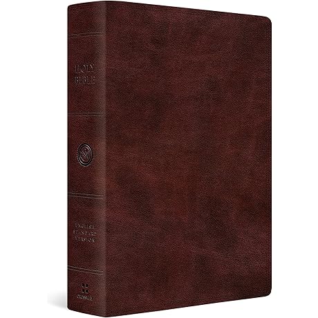 The Journaling Bible for Women, ESV, TruTone Burgundy Super Giant Print