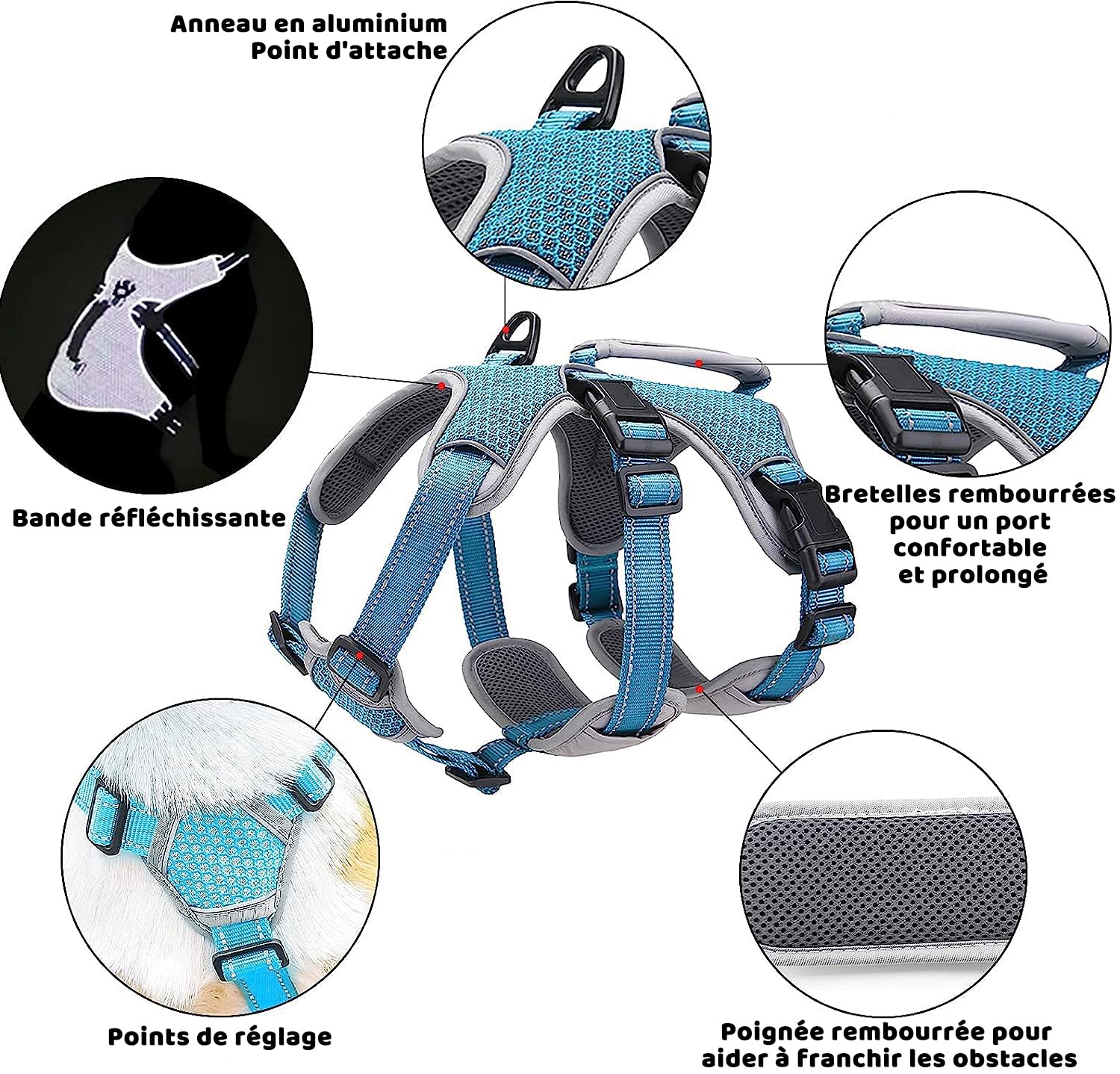 Harnais de Soutien Multi-Usage pour Chien, Anti-Fuite, Gilet réfléchissant réglable avec poignée Durable, Harnais de Promenade pour Chiens de Grande Taille (Bleu, XL)