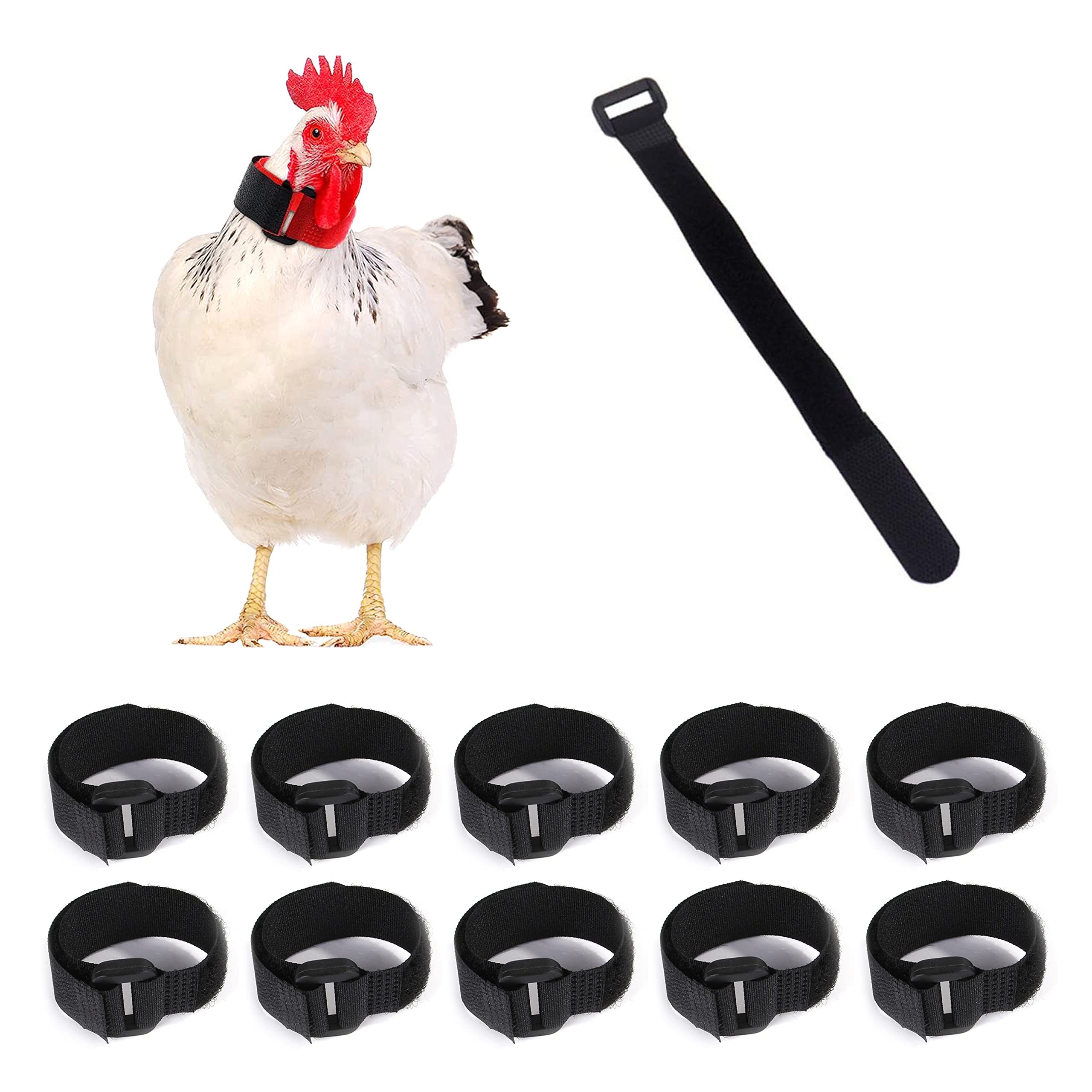 Buy 10 Pack Chicken Collar No Crow Rooster Collar AntiHook Noise