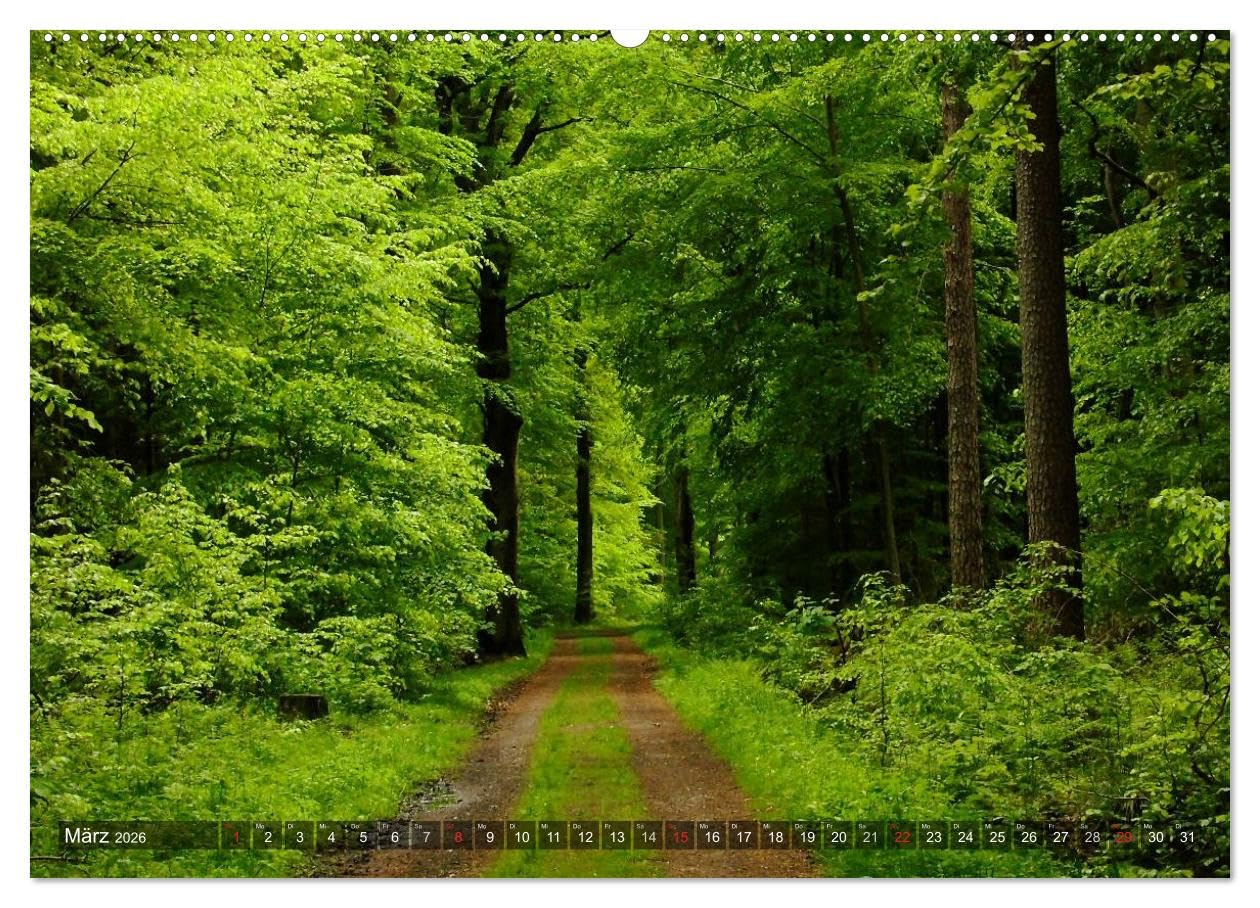 Feng Shui Farben - Element: Holz (hochwertiger Premium Wandkalender 2026 DIN A2 quer), Kunstdruck in Hochglanz: Die Farbe Grün, die dem Element Holz ... Jahr über in Ihre Räume. (CALVENDO Natur)
