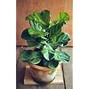 Product Photo 4