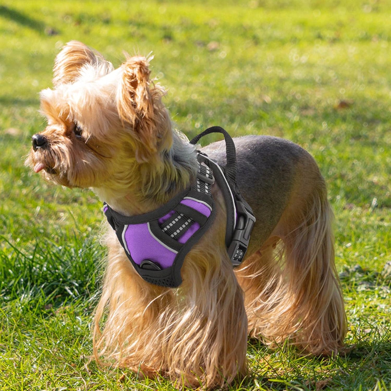 MoNiBloom Reflective Dog Harness, No Pull Vest Harness with Handle, Adjustable Soft Padded Pet Harness for Small Dogs, Purple, XS