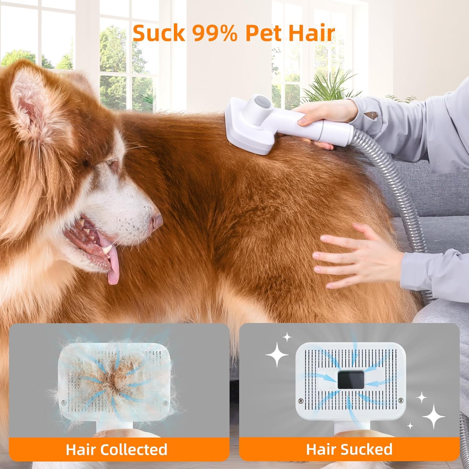 Pet grooming with vacuum suction brush