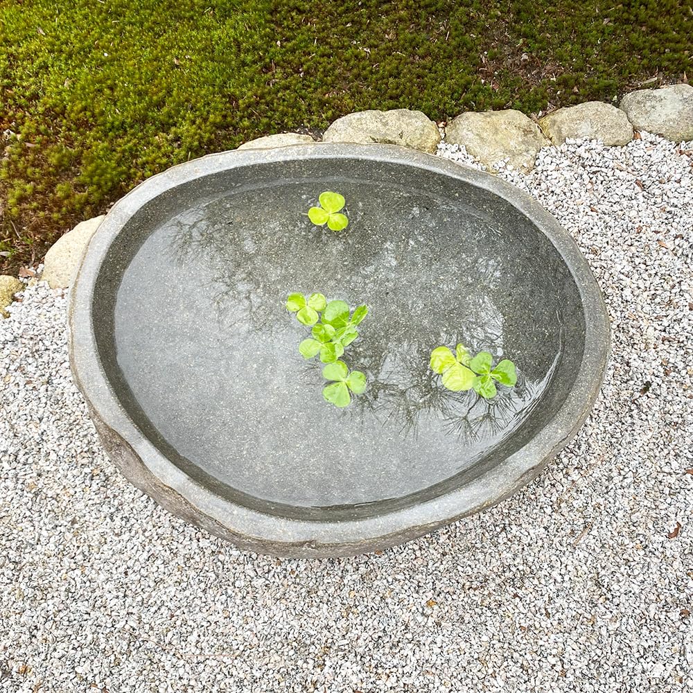 Amazon.co.jp: つくばい 蹲 手水鉢 石 鉢 水鉢 睡蓮鉢 スイレン鉢 ハス