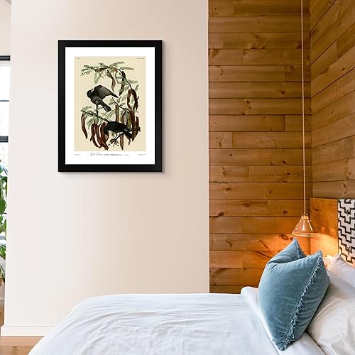 Miniatura 4 de Póster enmarcado con diseño de cuervo de pescado de James Audubon para decoración de pared  Pósteres e imágenes de reproducción de pinturas de obras