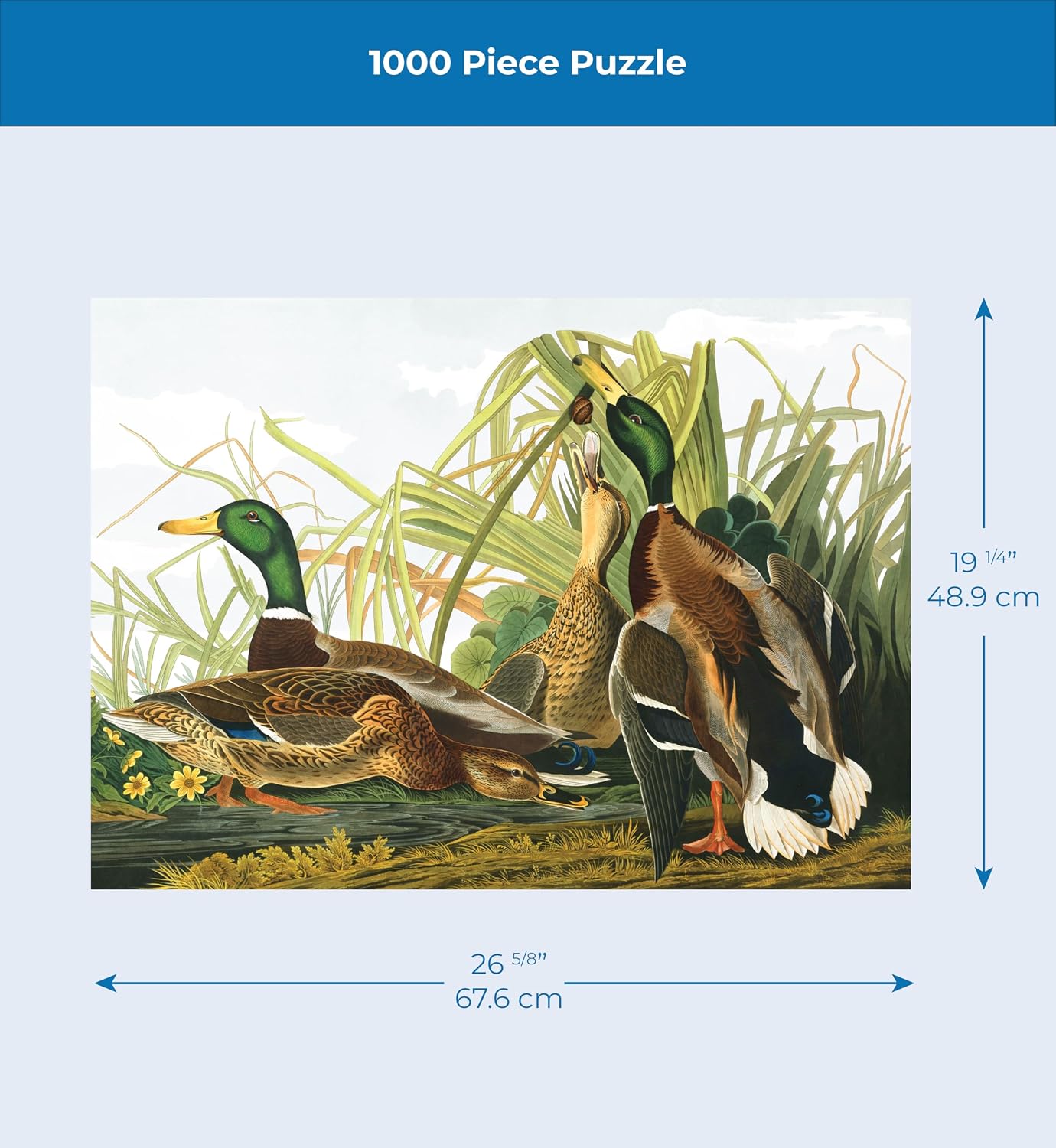 New York Puzzle Company - Vintage Images Mallard Ducks - 1000 Piece Jigsaw Puzzle for Family Game Nights by John James Audubon