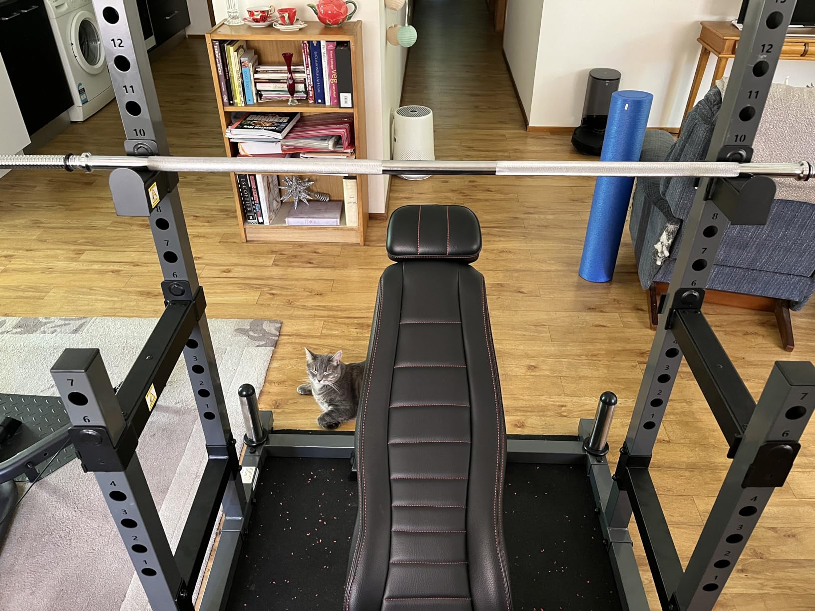 PASYOU Squat Rack for Home Gym, Adjustable Barbell Rack with Max Load