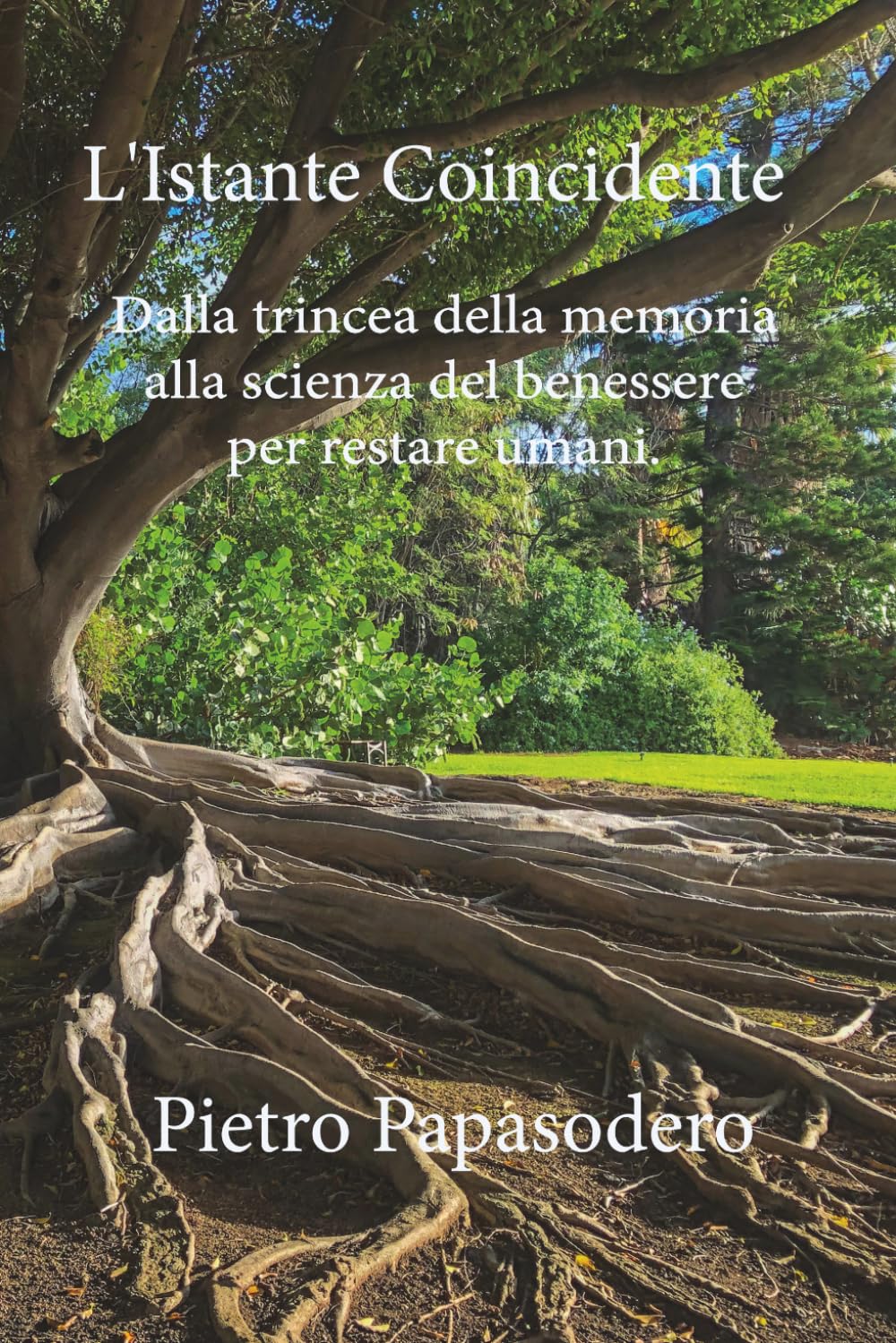 L'Istante Coincidente: Dalla trincea della memoria alla scienza del benessere per restare umani.