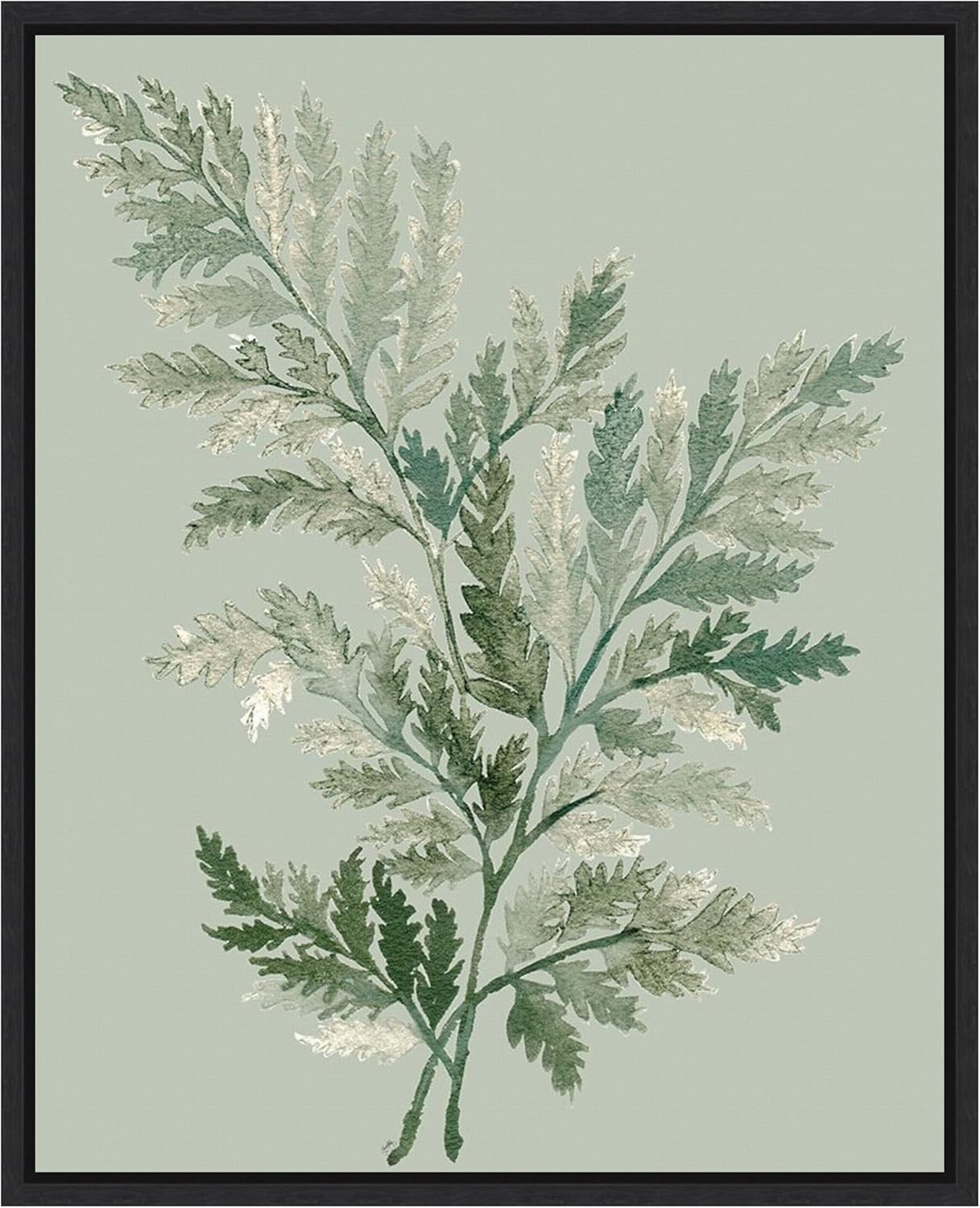 Amanti Art Framed Canvas Wall Art 28x23 Tonal Green Ferns I by Elizabeth Medley, Framed Wall Art Canvas, Nature Artwork, Modern Decor, Medium Poster Painting for Living Room, Bedroom, Bathroom,