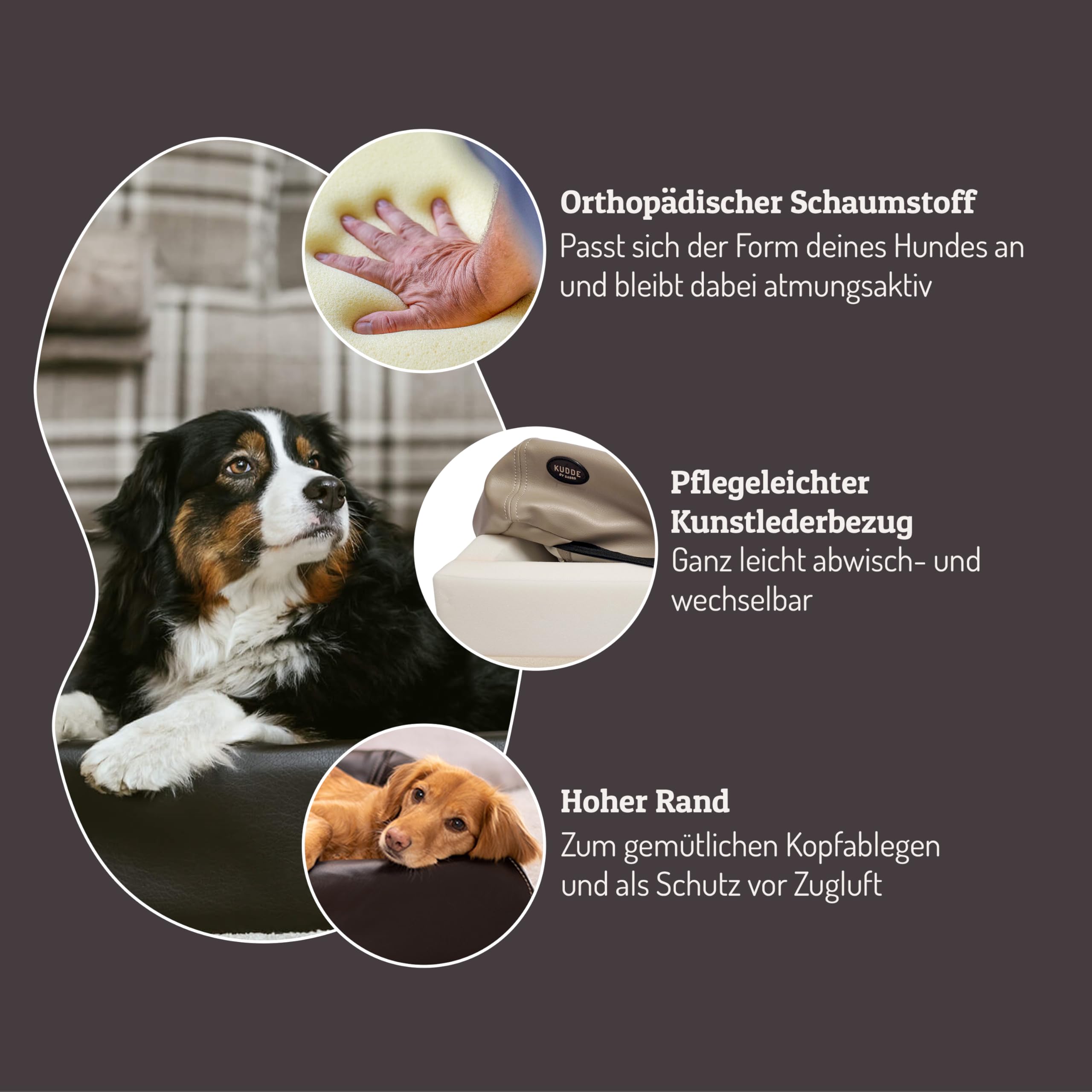 SABRO KUDDE Orthopädisches Hundebett – Martin Rütter – Hochwertiges Kunstleder – Waschbar & Wasserabweisend – Ergonomisch – Premium Haustierzubehör für Mittelgrosse, Grosse Hunde in Beige