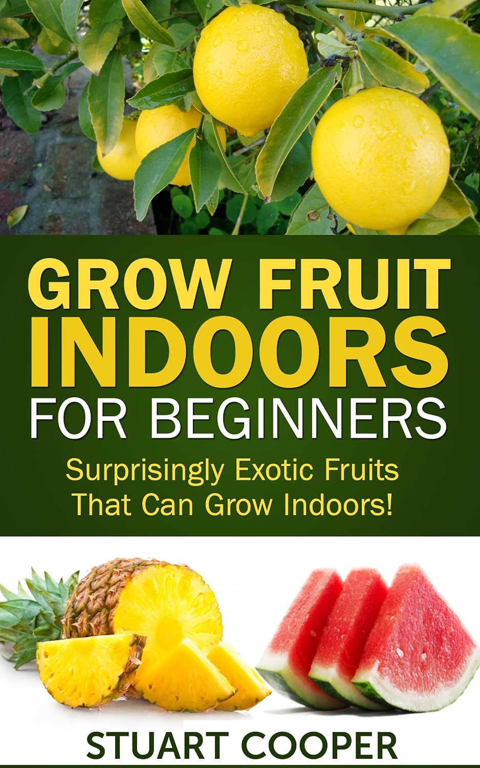 Grow Fruit Indoors For Beginners Surprisingly Exotic