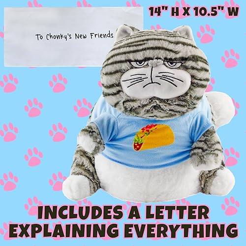 Miniatura 9 de Attatoy Chonky - Peluche con peso de gato, juguete de peluche de gato gordo