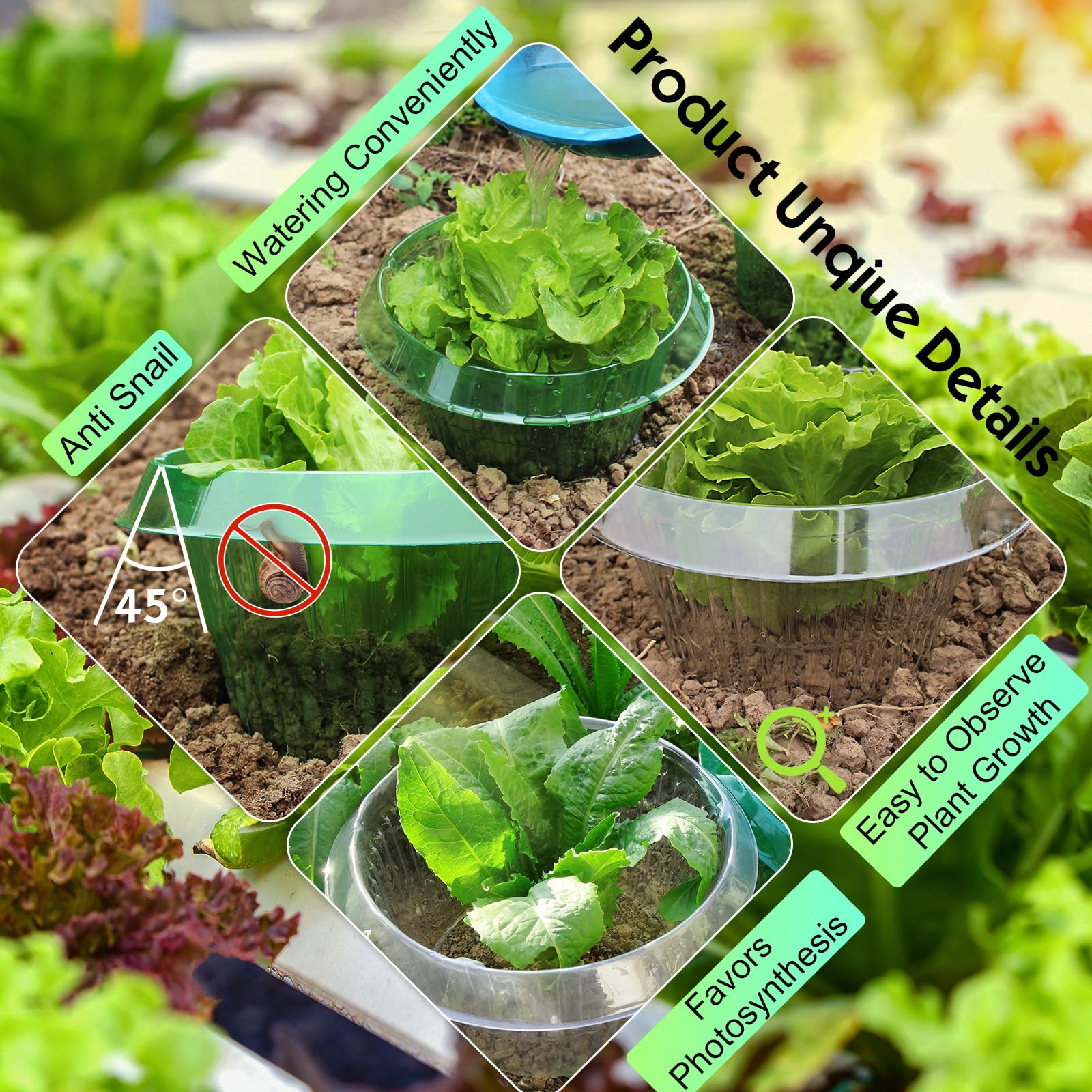 12 Stück Schneckenkragen, Schneckenschutz, Schneckenzaun, Stabil Schneckenkragen Effektiver Schneckenabwehr Schneckenschutzring Schützen Sie Ihre Kopfsalat- und Kohlpflanzen, Transparent & Grün