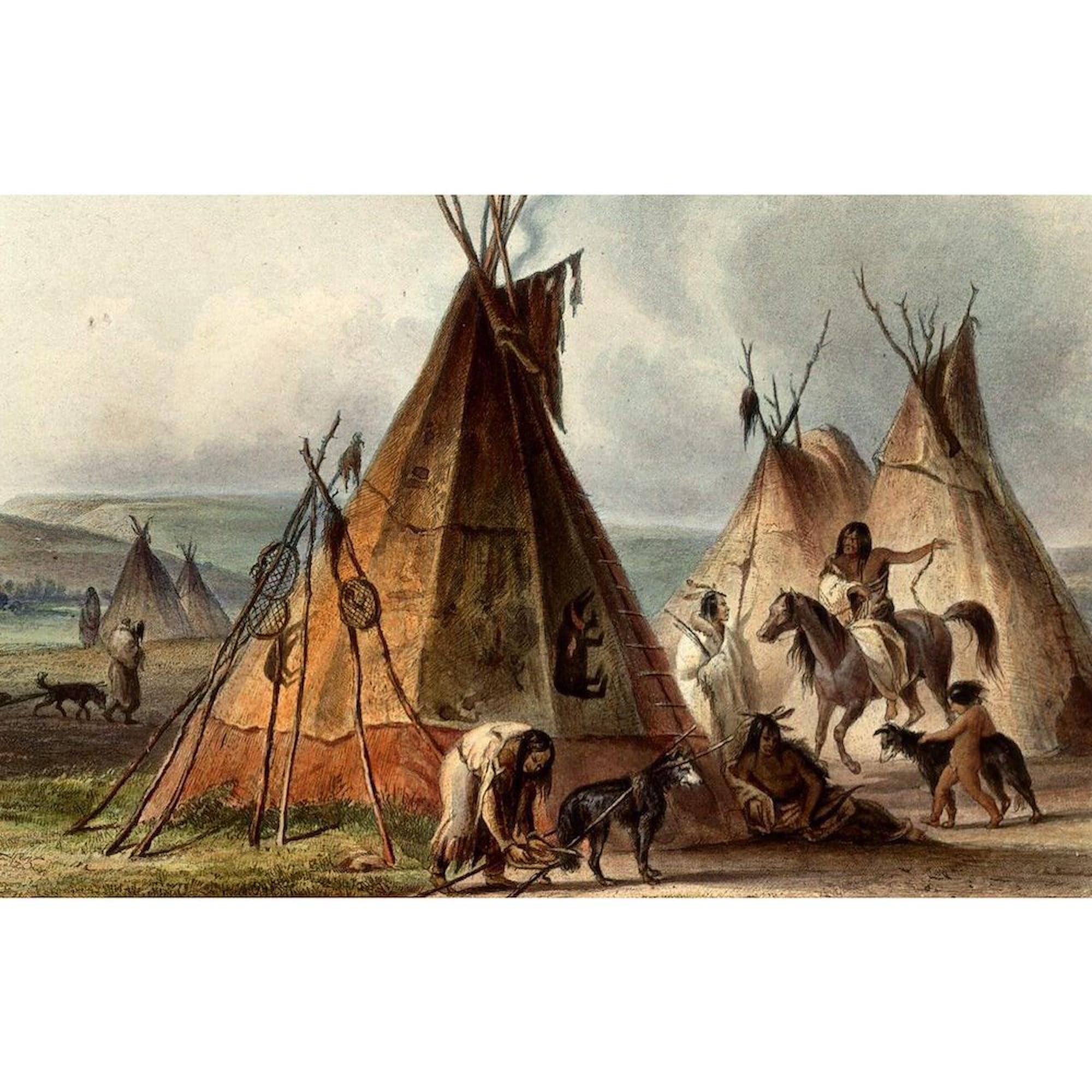 CafePress Assiniboin Teepee Native Skin Lodge 4