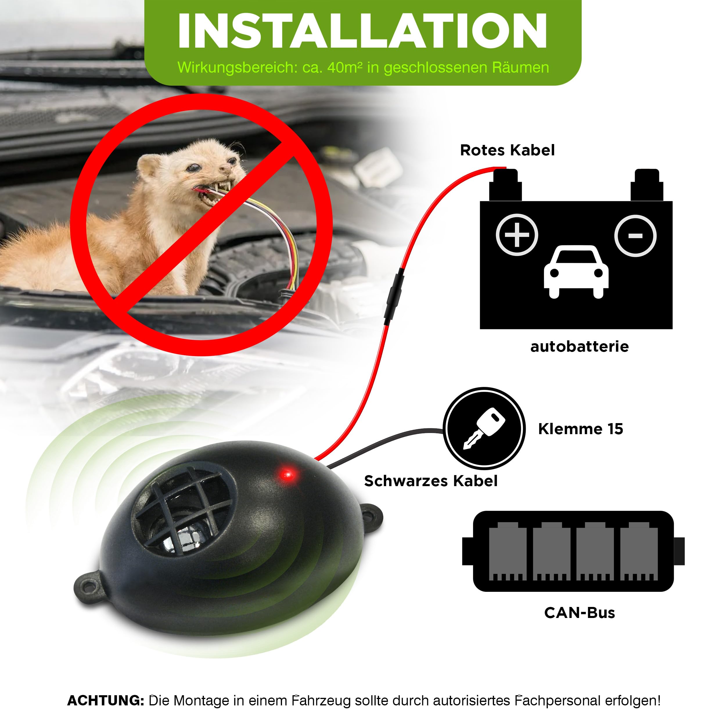ISOTRONIC Dissuasore per martore, 12 V-24 V, ultrasuoni, camion per auto, camper (2)