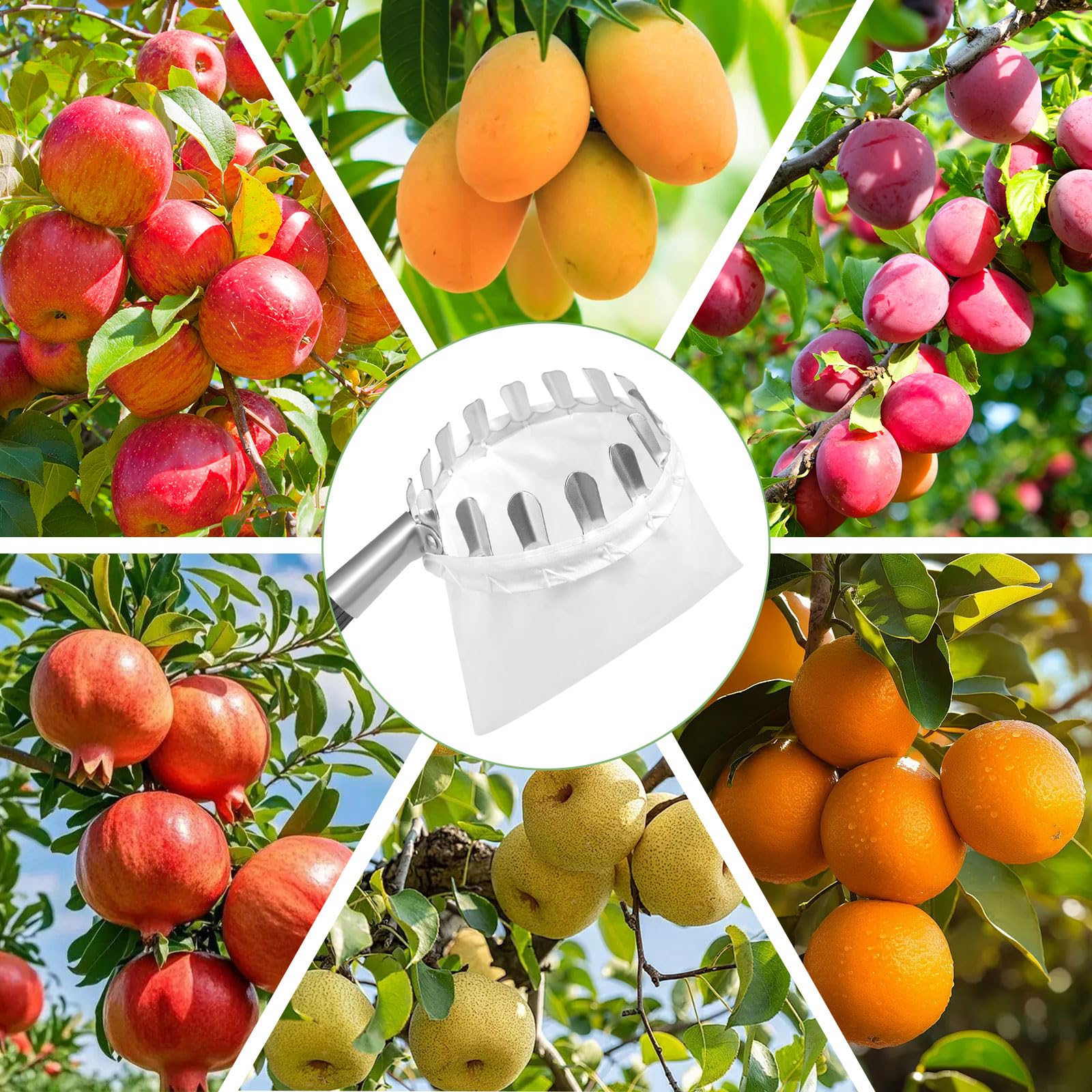 GOSHIES Cueille Fruit Télescopique 4M Cueille Fruit Cueilleur de Fruits Amovible Cueille Cerise Telescopique Ramasse Pomme pour la Cueillette des Oranges, Pêches, Cerises