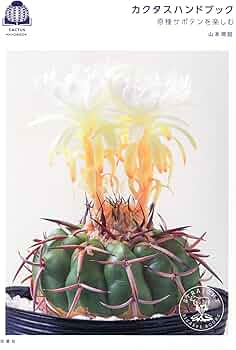 81YW3UEqwjL._AC_UF350,