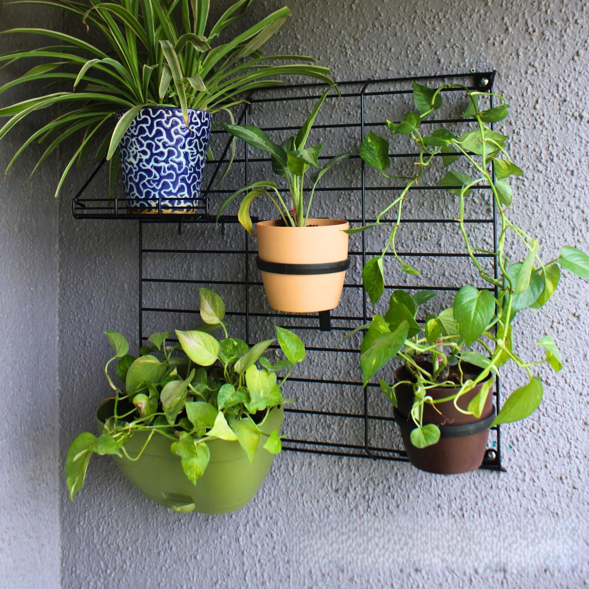 Meshable Grellis Grid Stylish Steel Wall Mounted Plant Stand Holder Hanger Rack, Wall Mounting Planter Stand for Living Room Hanging Pots in Balcony Garden, Indoor Outdoor Decor - (Black, Set of 1)-image-17