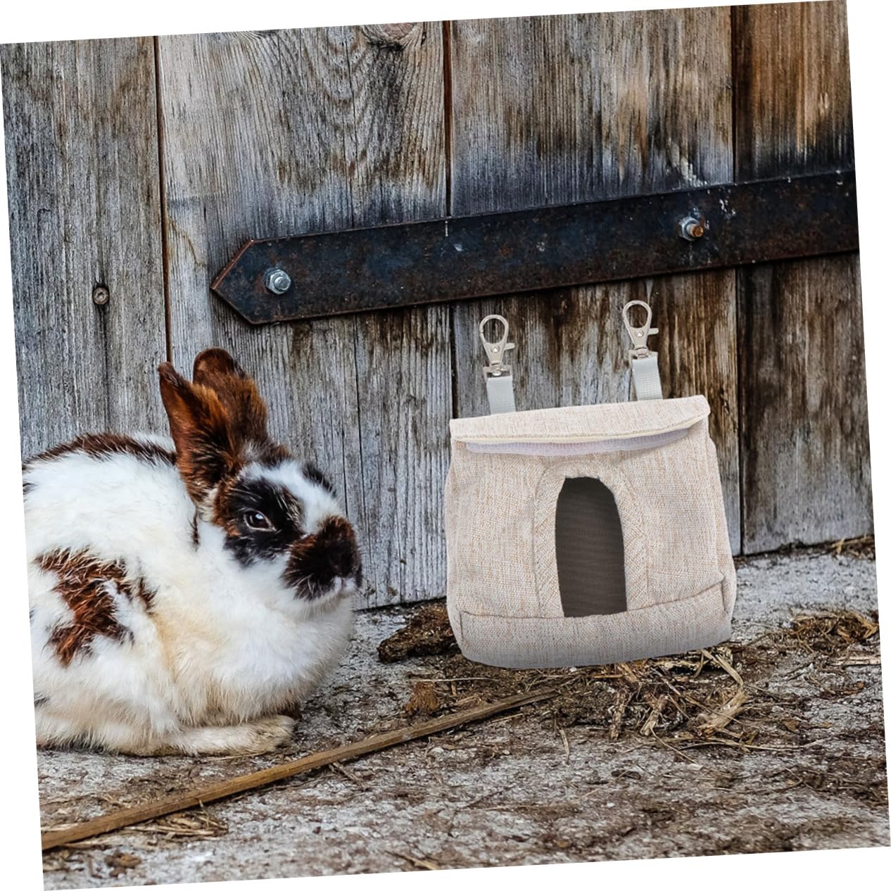 Housoutil 5 Set Di Mangiatoie Per Cavie Con Borsa Appesa Per Riporre Il Cibo Mangiatoie A Doppia Faccia Per Cavie Facili Da Riporre in Gabbie 2 Pezzi * 5