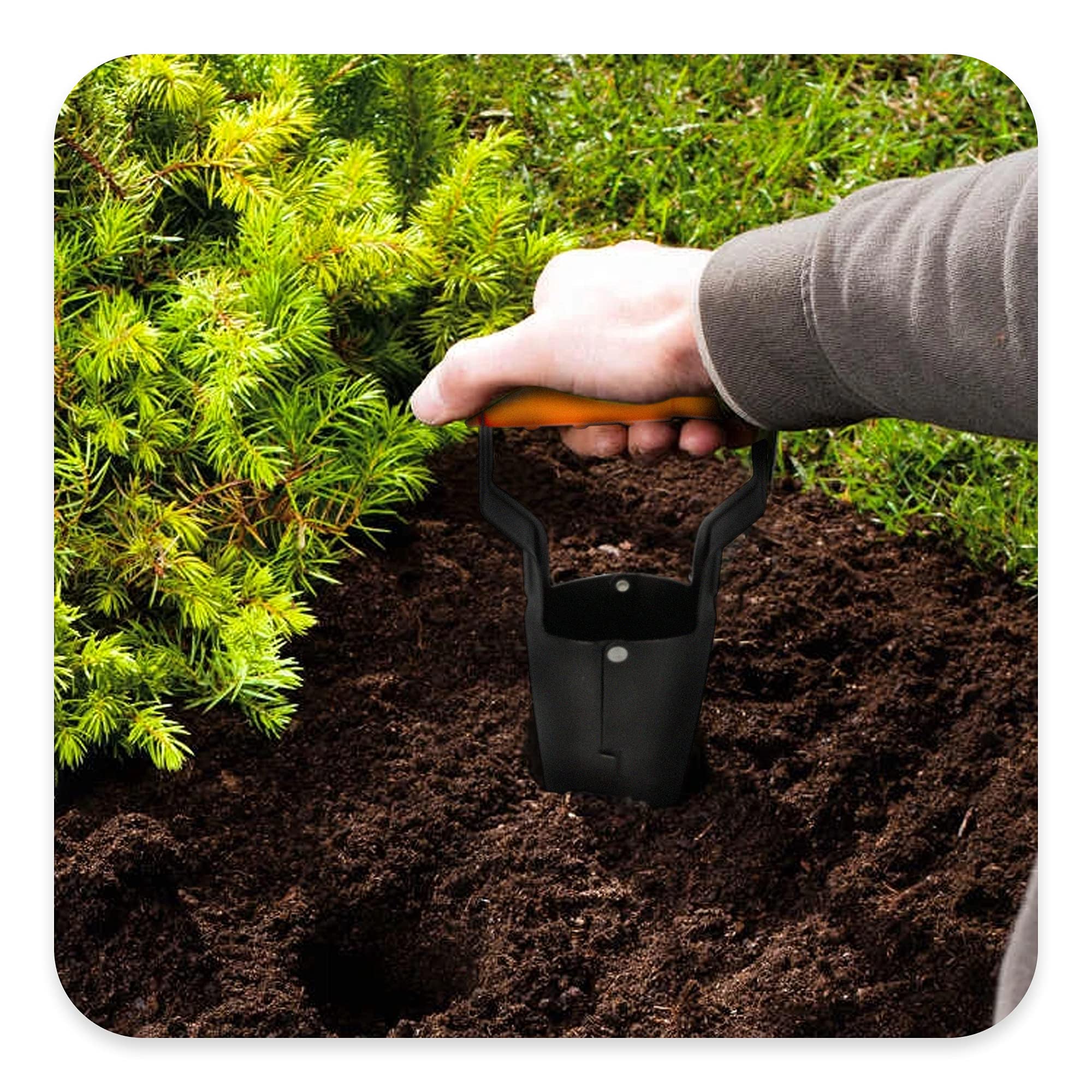 BRADAS® - Piantana per bulbi di fiori DE LUXE, Ø 6 cm-9 cm, automatica per piante a cipolla in acciaio con meccanismo automatico e scala di profondità, manico automatico, attrezzi da giardino