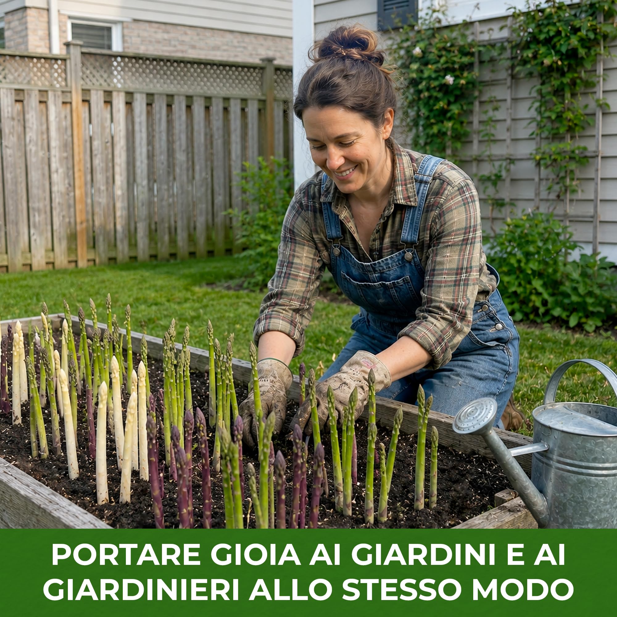 Piante di asparagi Mix - 10 piante frigo A+ - refrigerate a crescita rapida provenienti dall'Olanda - Resistenti & Perenni - Per la coltivazione in letti rialzati