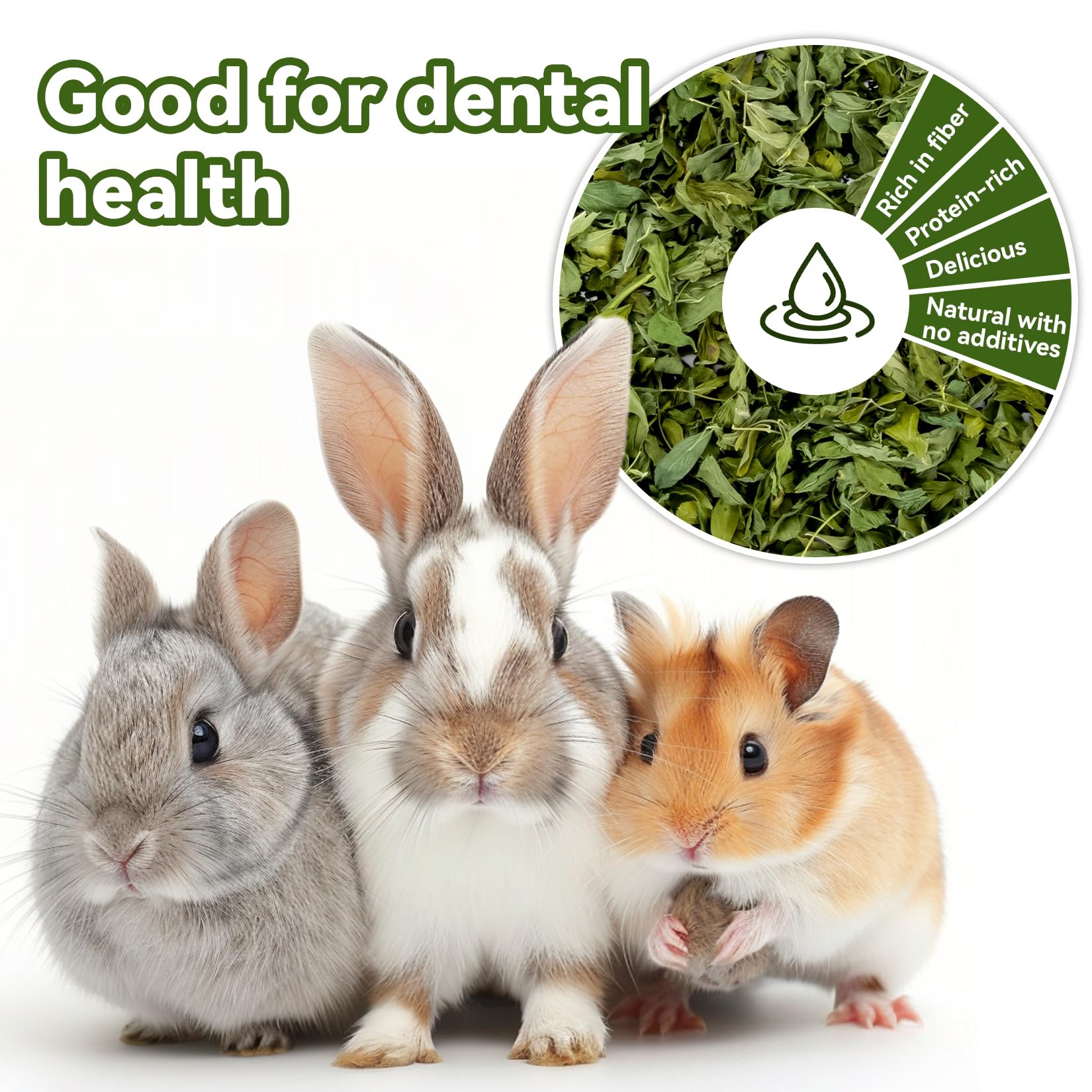 MAQIHAN Natural Alfalfa Hay for Rabbits - Dried Organic Chinchilla Guinea Pig Tender Hay for Young, Pregnant or Nursing Small Pets for Rabbit Food for Small Animals 7.58 oz