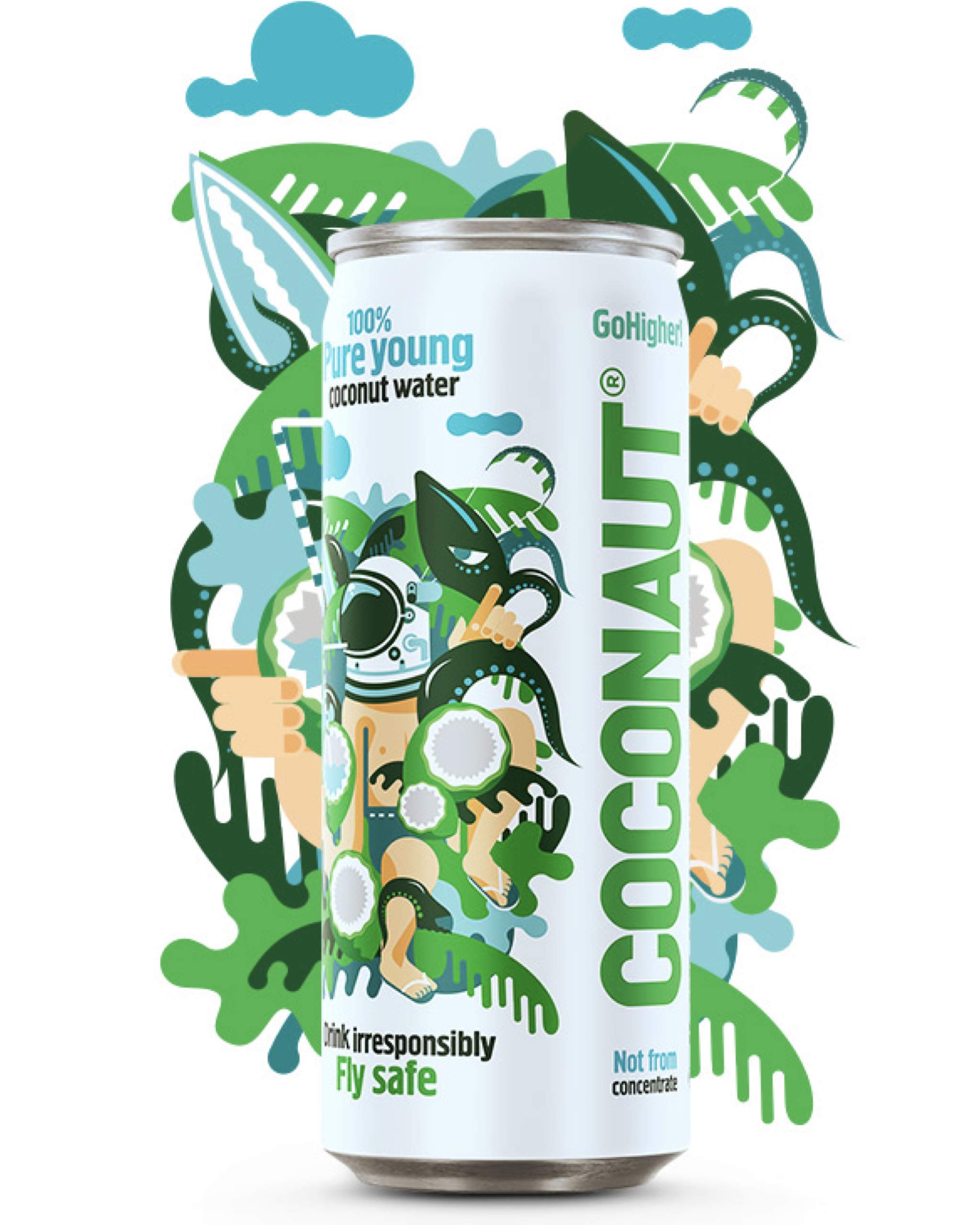COCONAUT Coconut Water 100% Young Coconuts – 12 x 320 ml cans