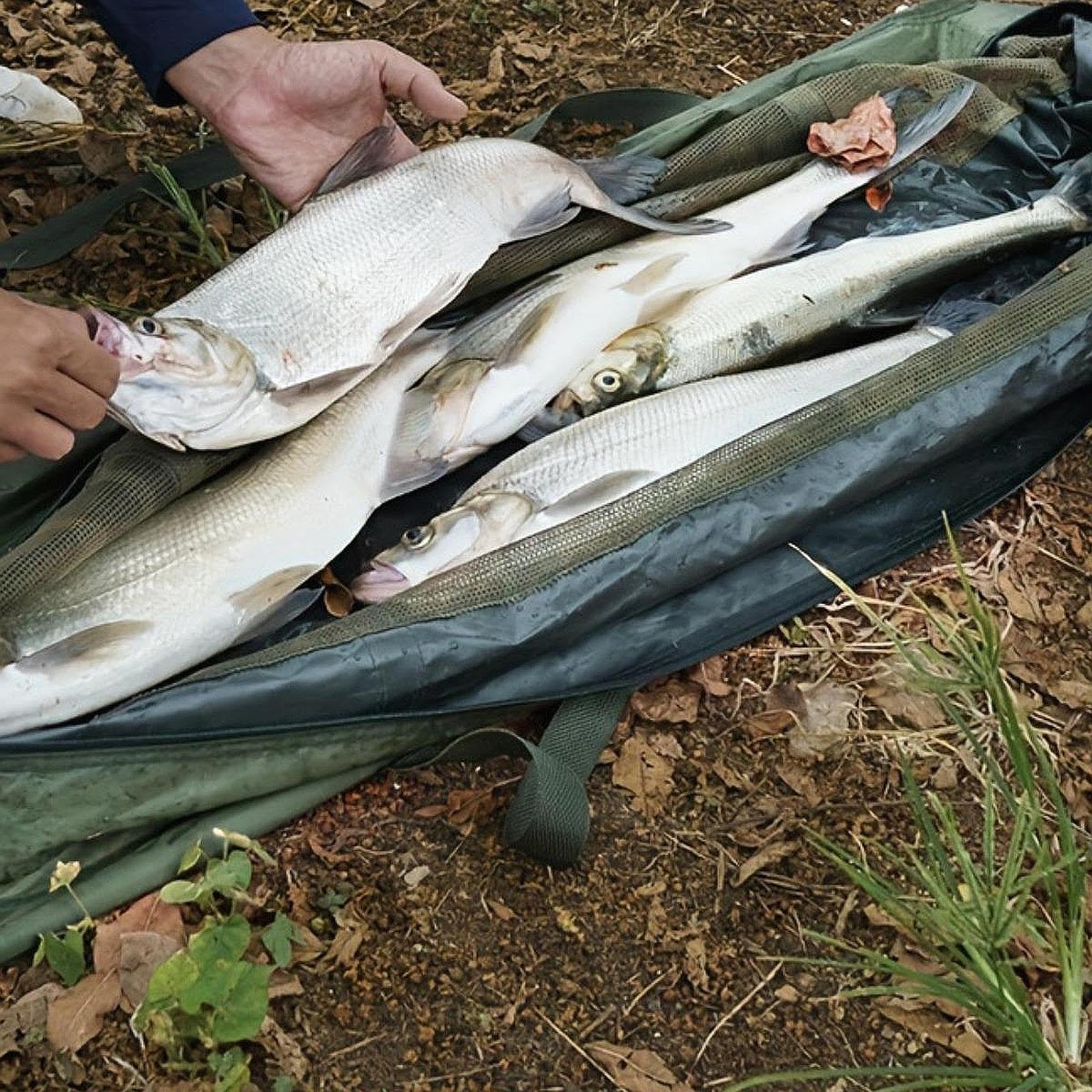 kowaku Sac de Pêche en Toile Oxford, Sac de Réception Léger et Résistant à l'usure pour Peser Le Poisson Pêché