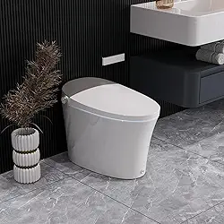 Sanita inteligente DeerValley com assento aquecido embutido, descarga automática potente e tampa de abertura/fechamento automático, 1,28 GPF e MaP 1000g, temperatura ajustável do assento, luz noturna